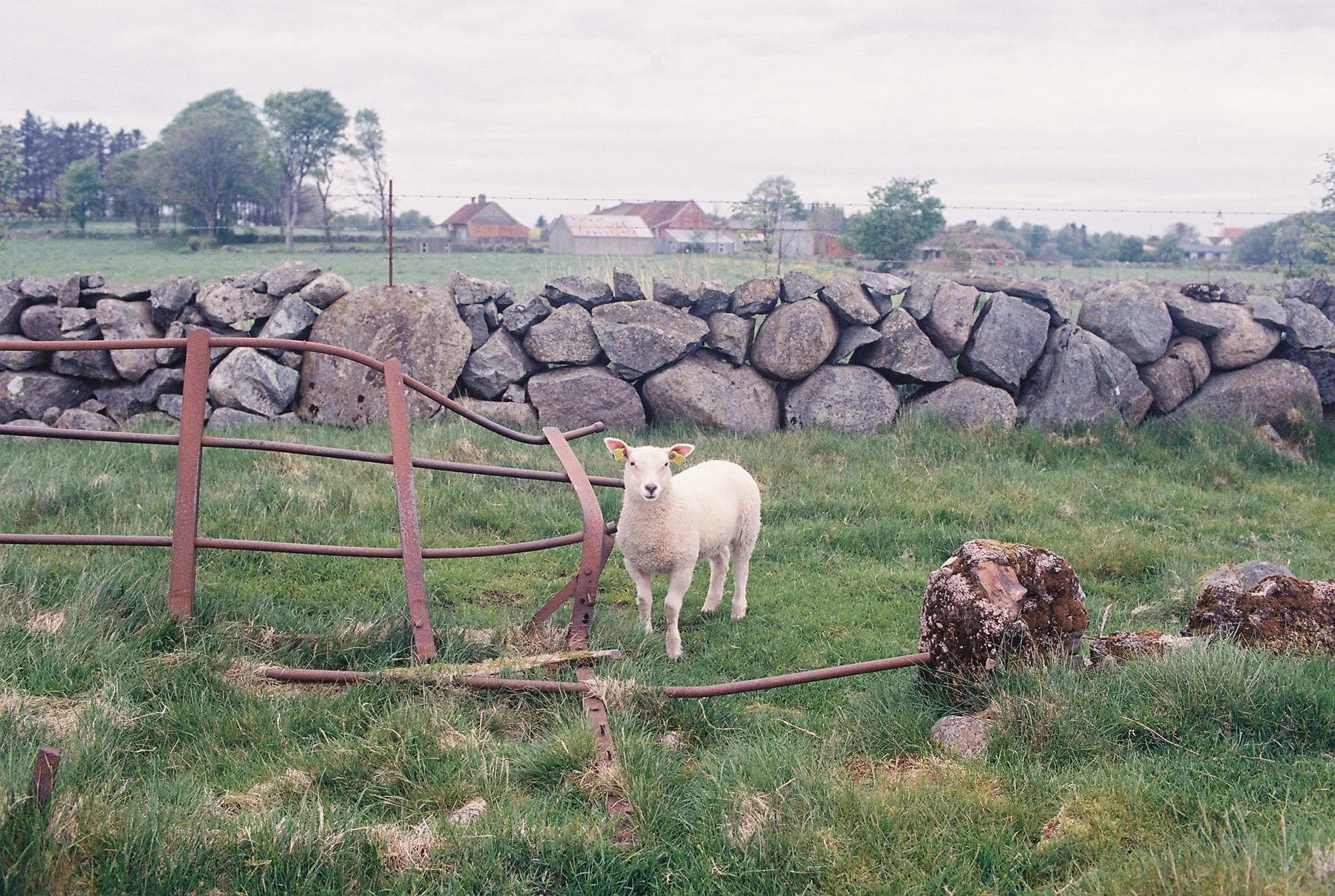 C000141-R1-30-31A.jpg