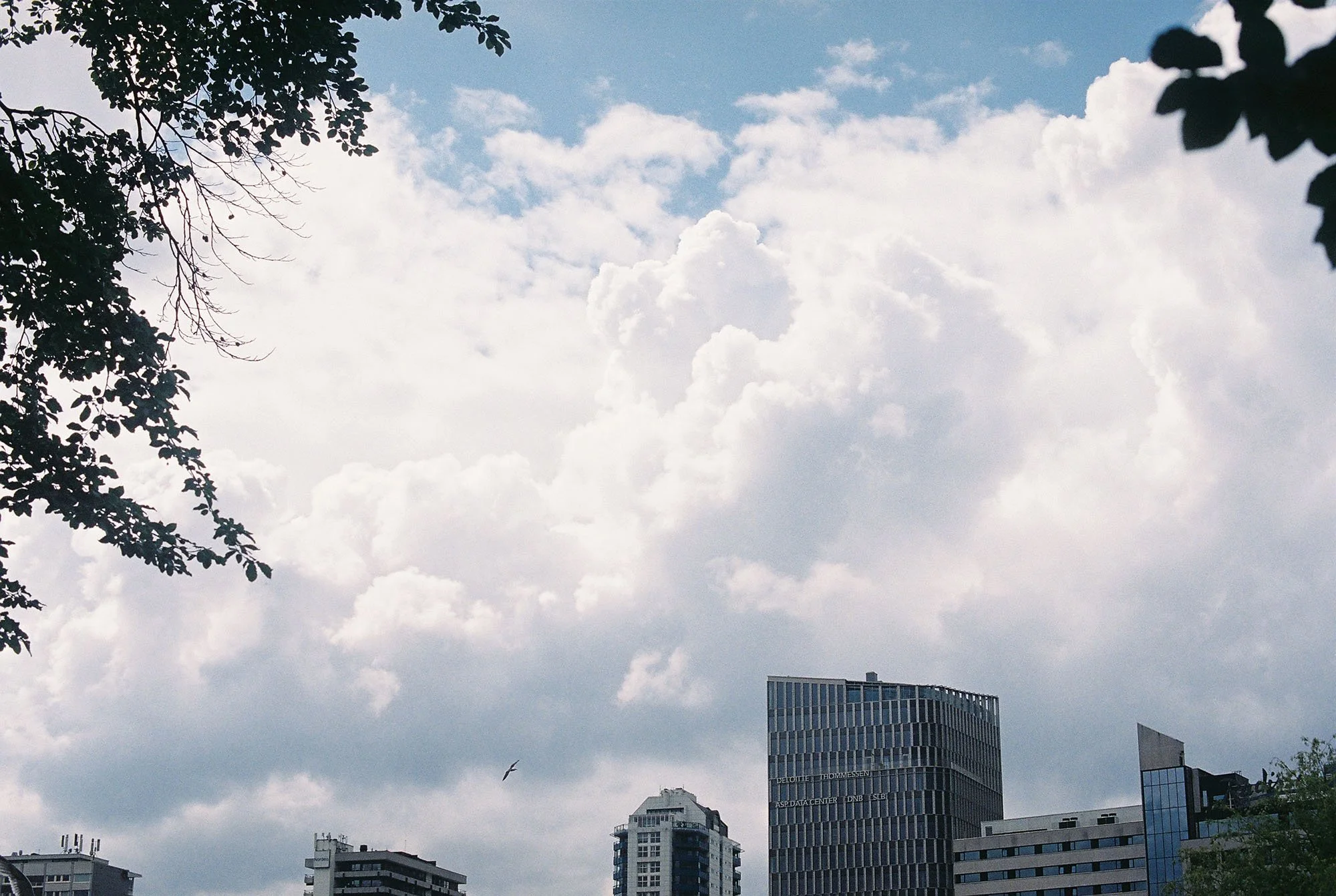 C000144-R1-18-19A.jpg