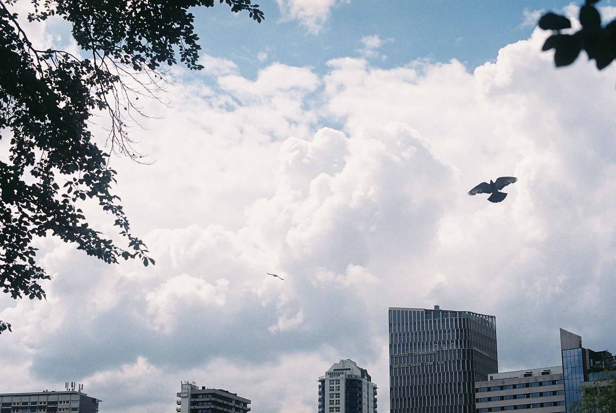 C000144-R1-17-18A.jpg