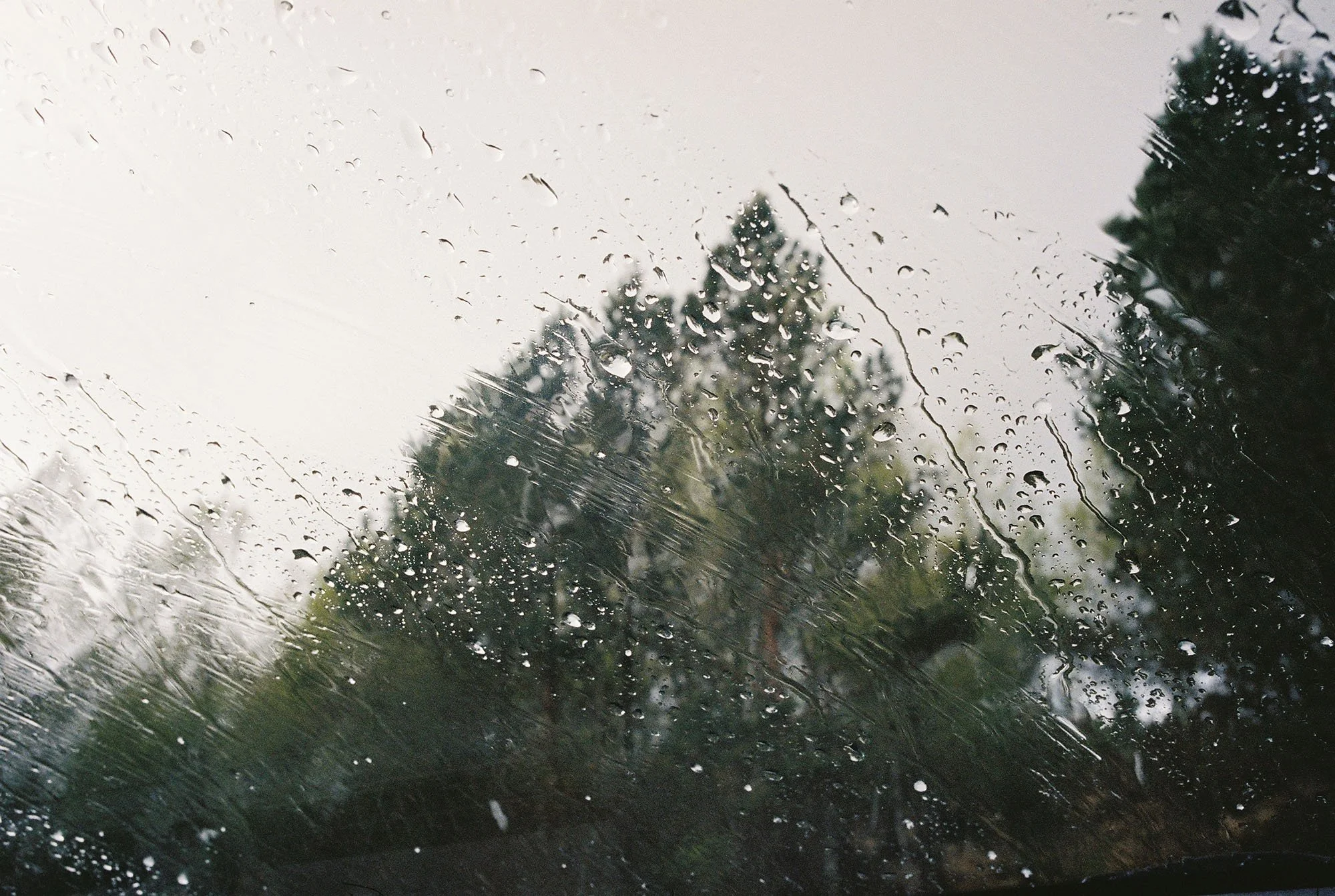 C000146-R1-34-34A.jpg