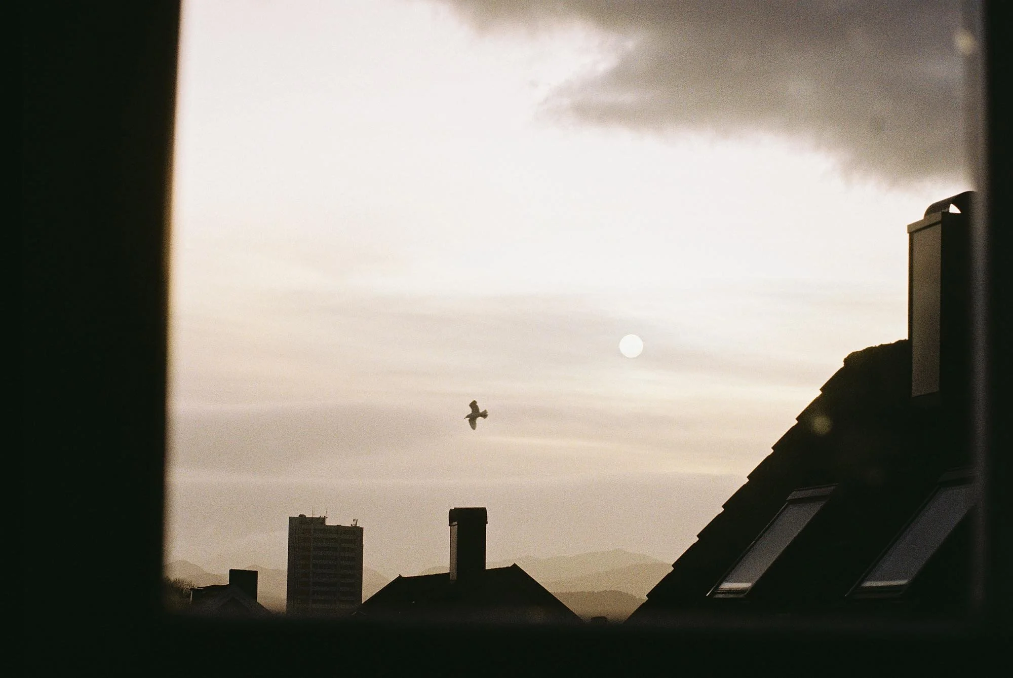 C001695-R1-13-14A.jpg