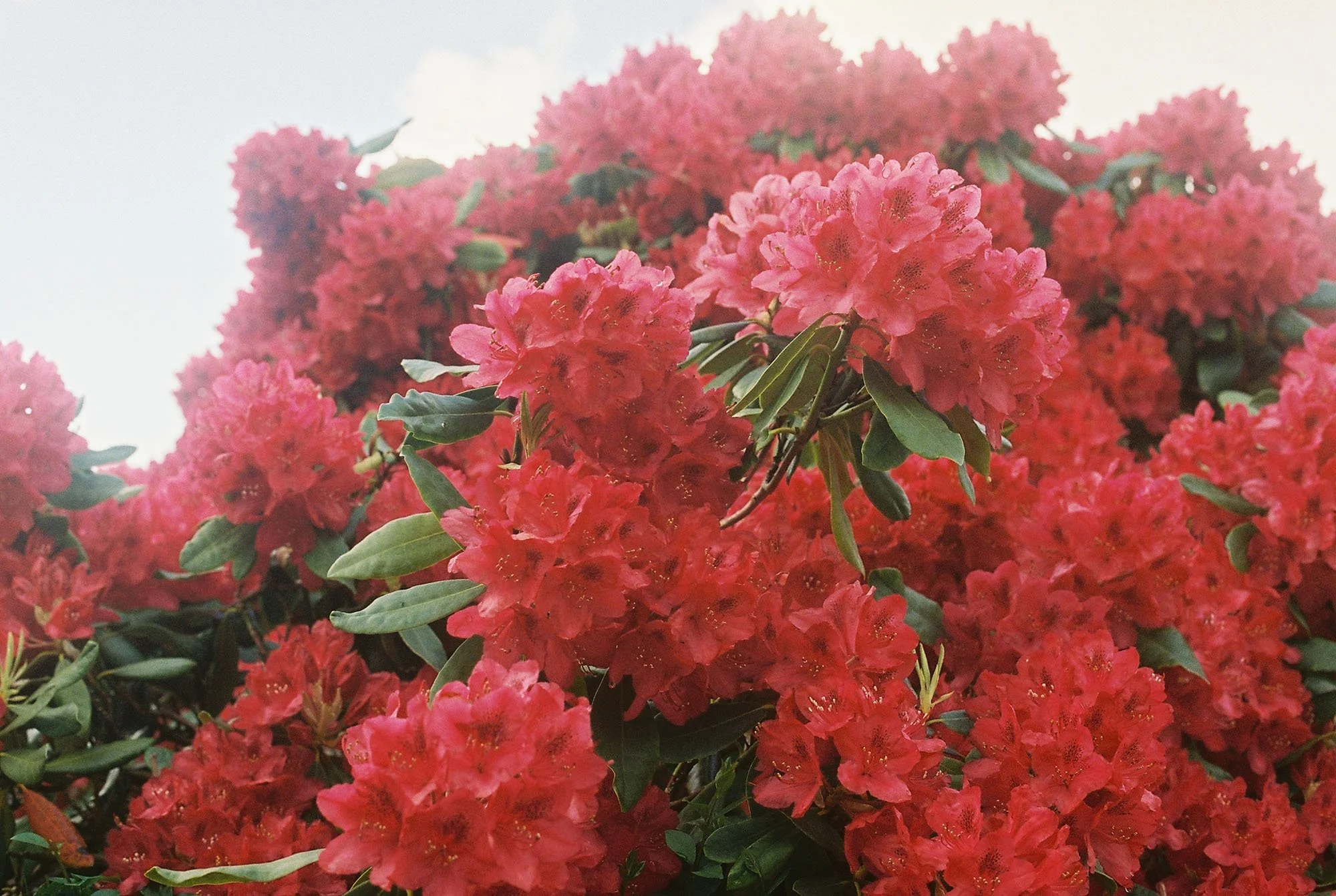 C000144-R1-35-36A.jpg