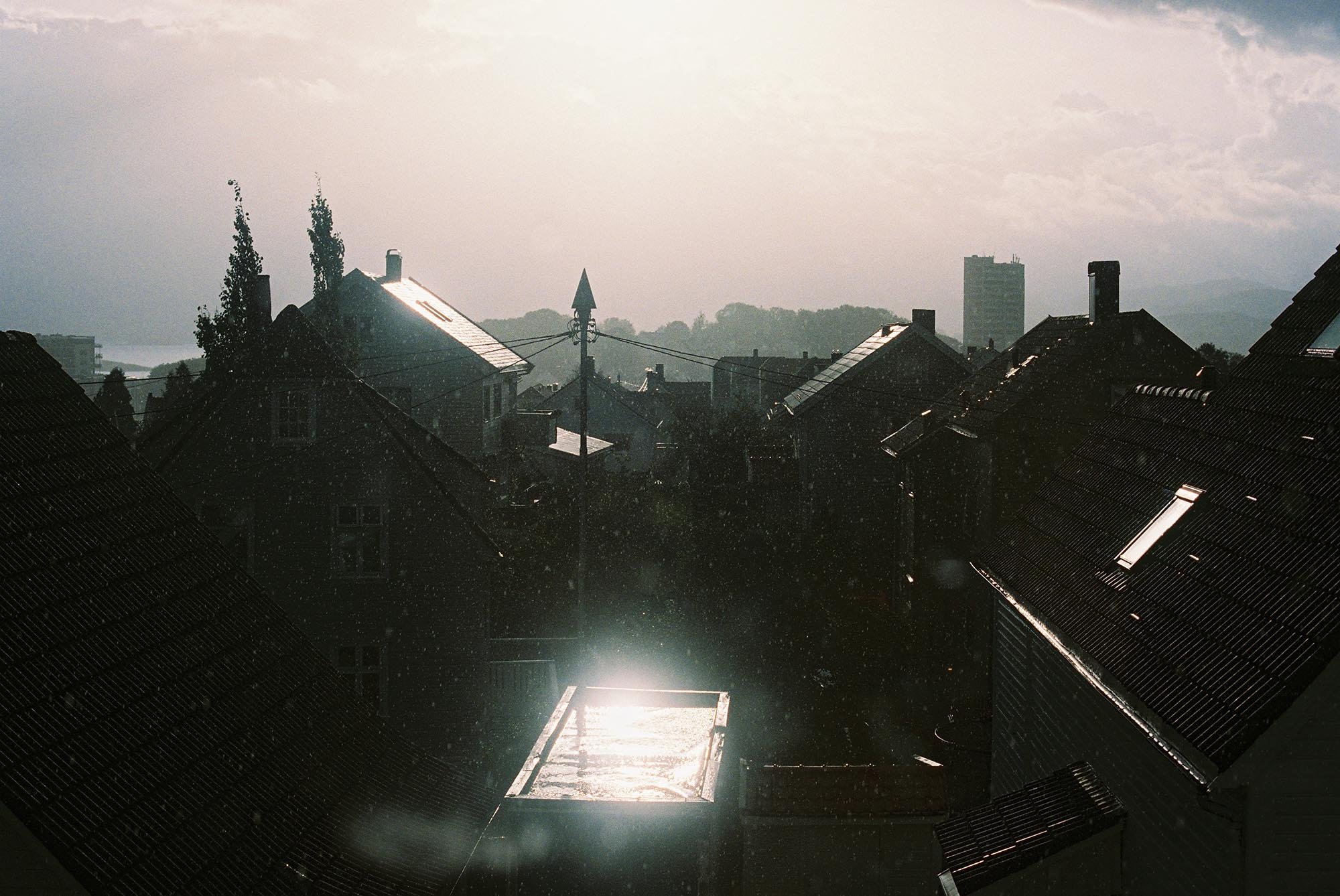 C004569-R1-01-2A.jpg