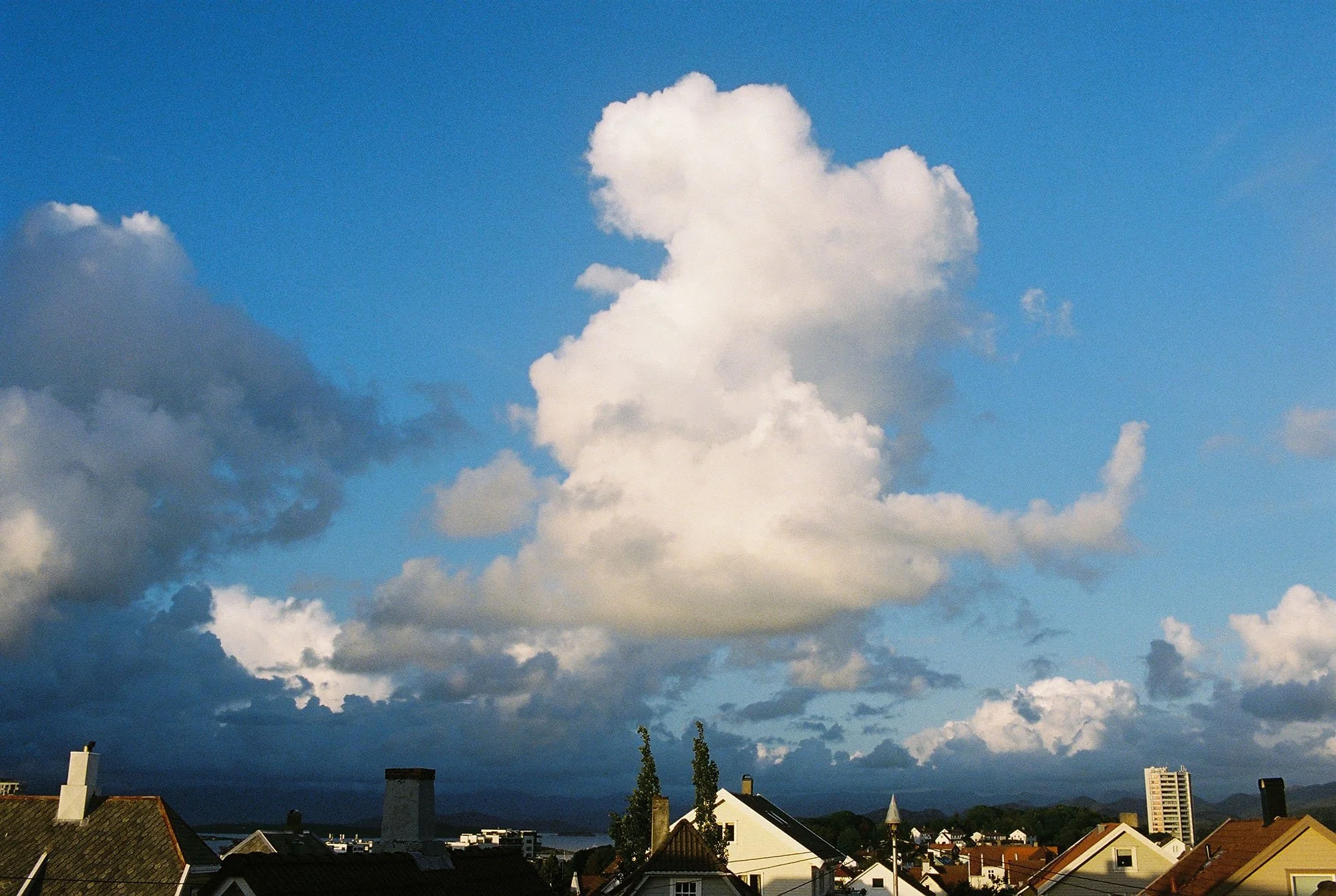 C000147-R1-18-19A.jpg