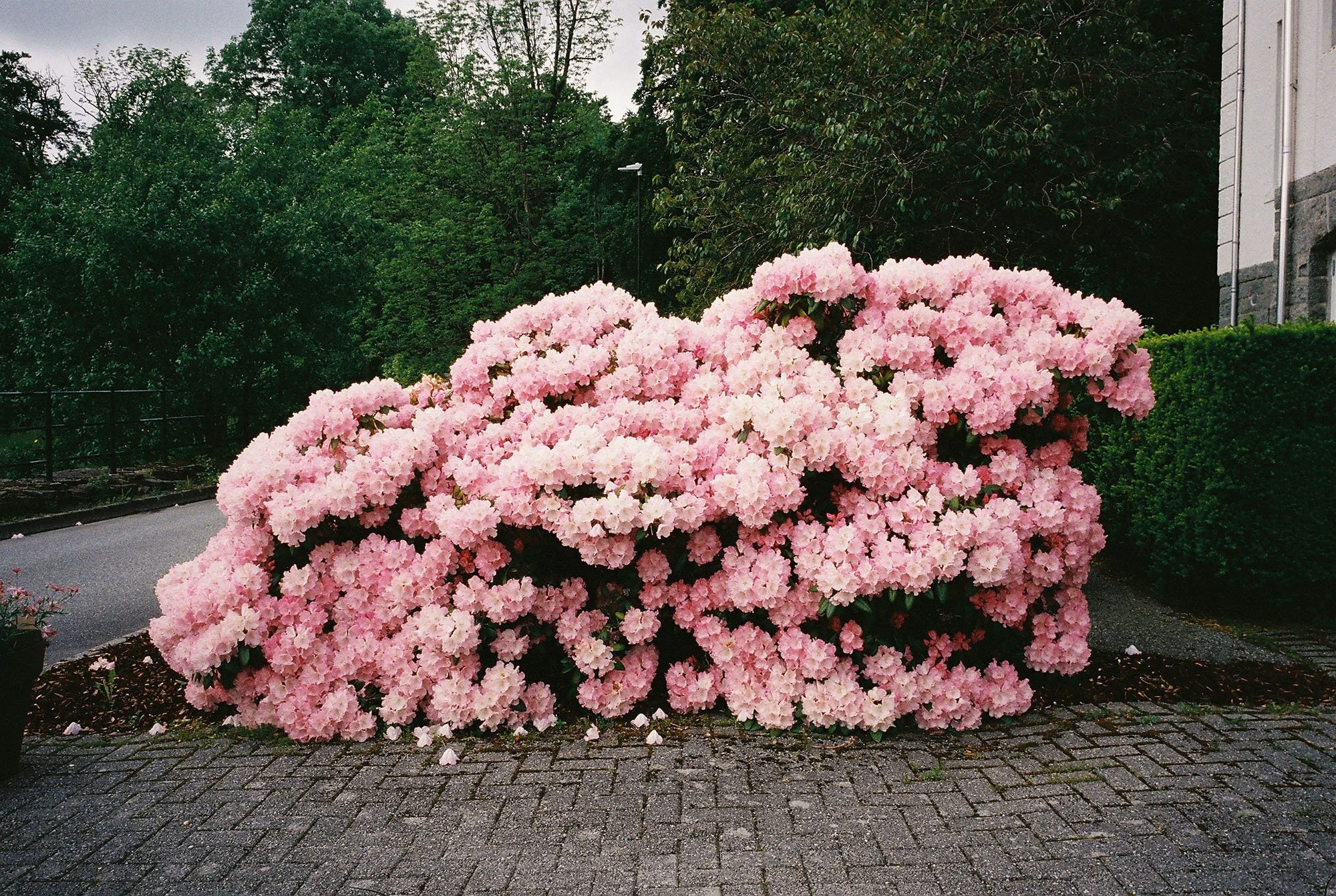 C000149-R1-13-23A.jpg