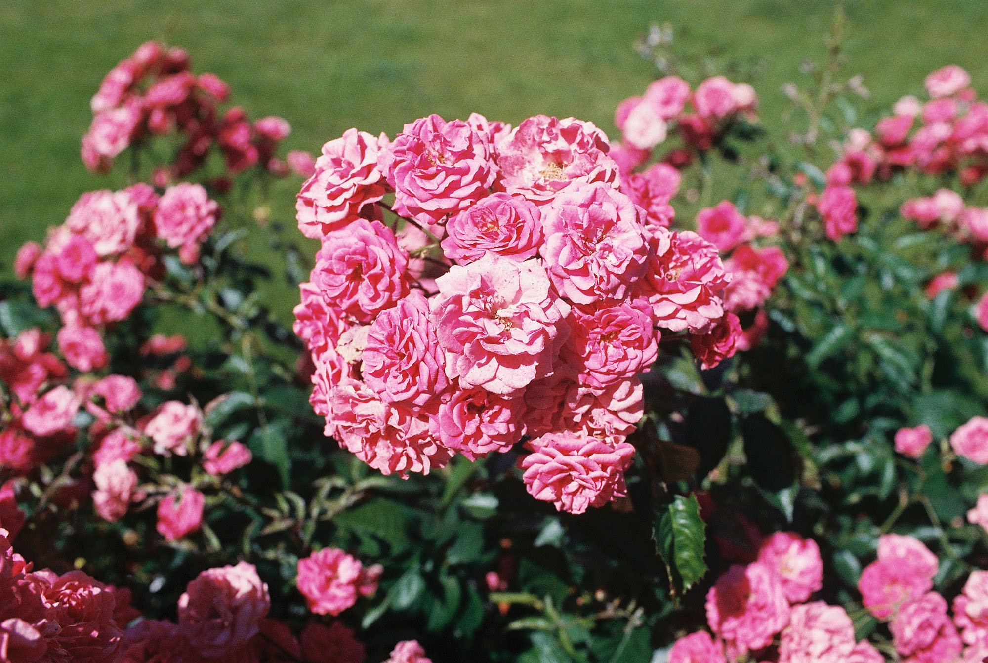 C000148-R1-17-18A.jpg