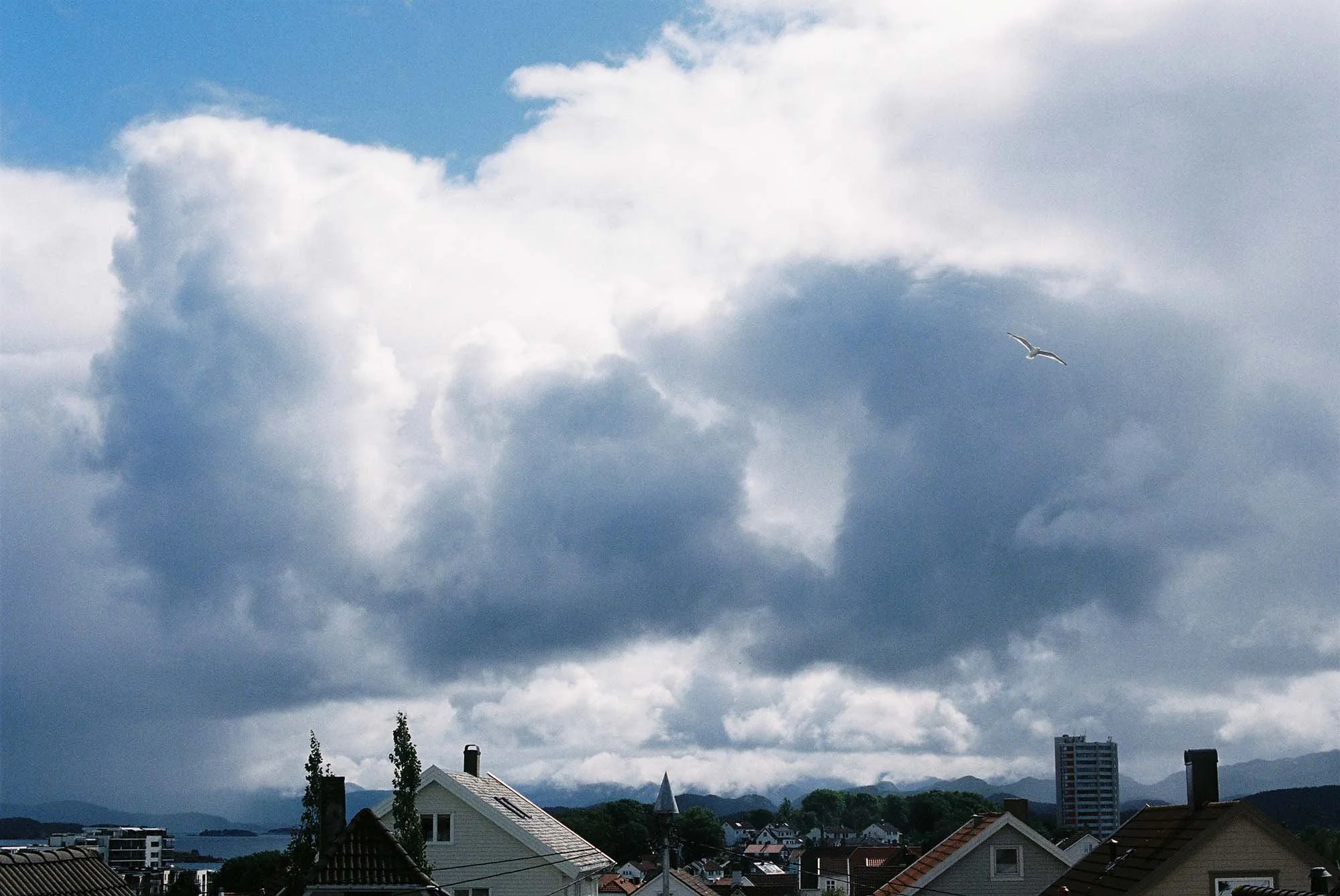 C005983-R1-19-20A.jpg