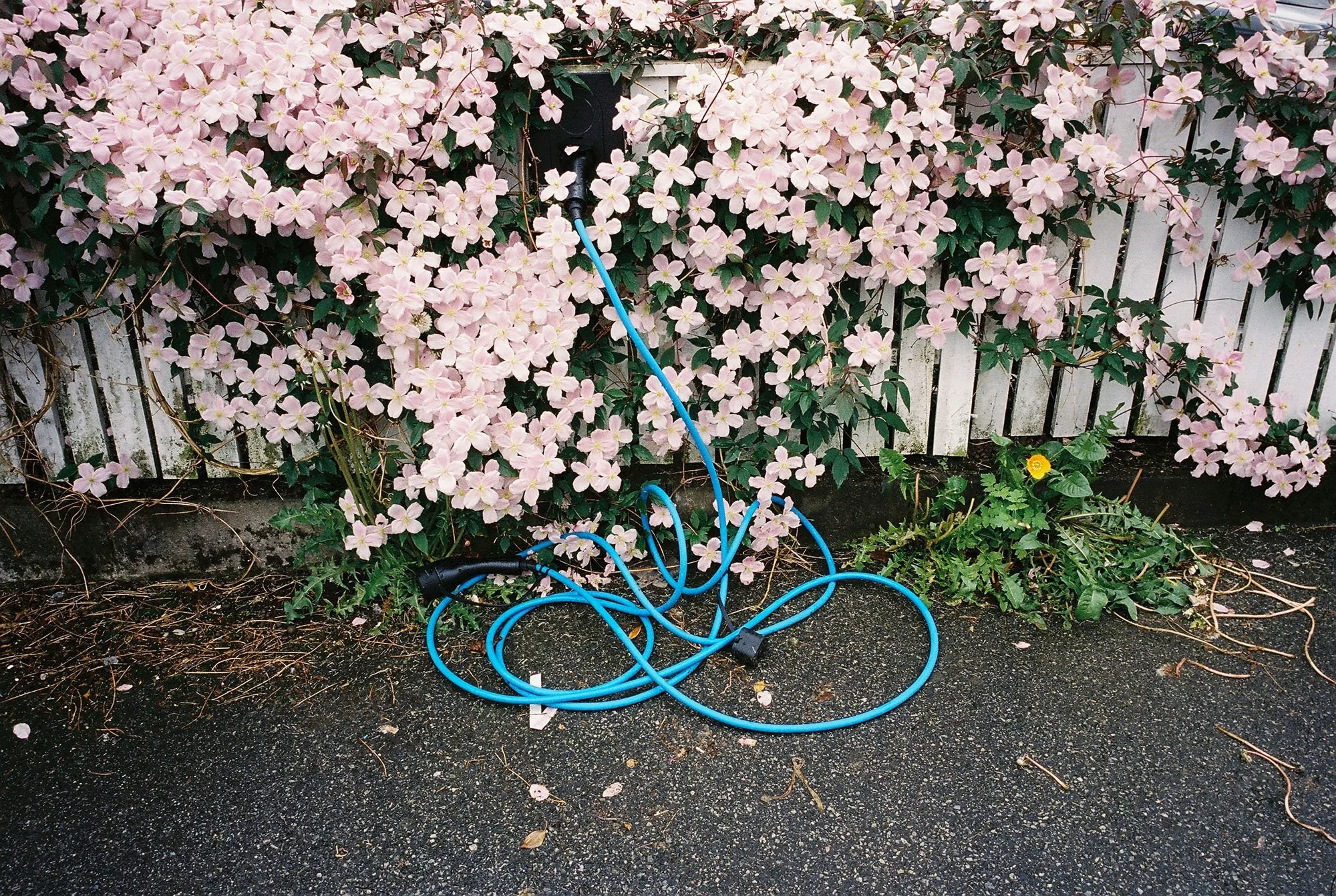 C000149-R1-01-35A.jpg