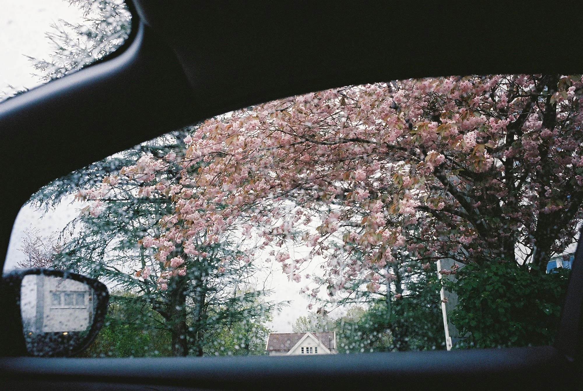 C000146-R1-11-11A.jpg