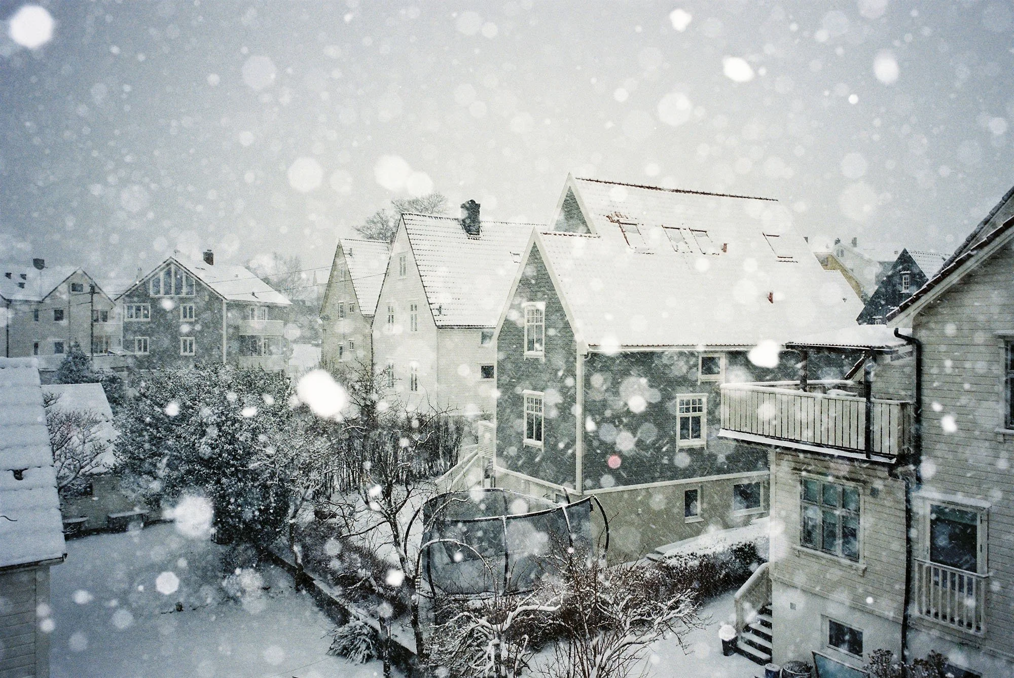 C007356-R1-26-10A.jpg