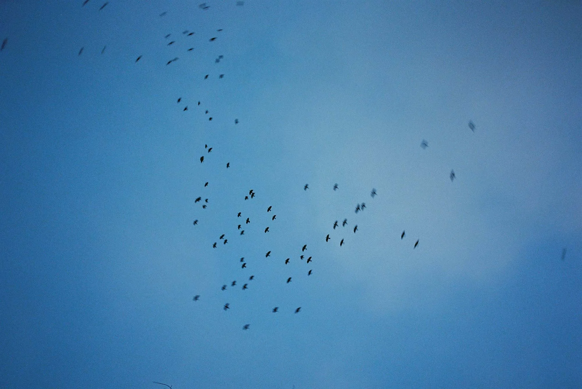 C005828-R1-16-20A.jpg