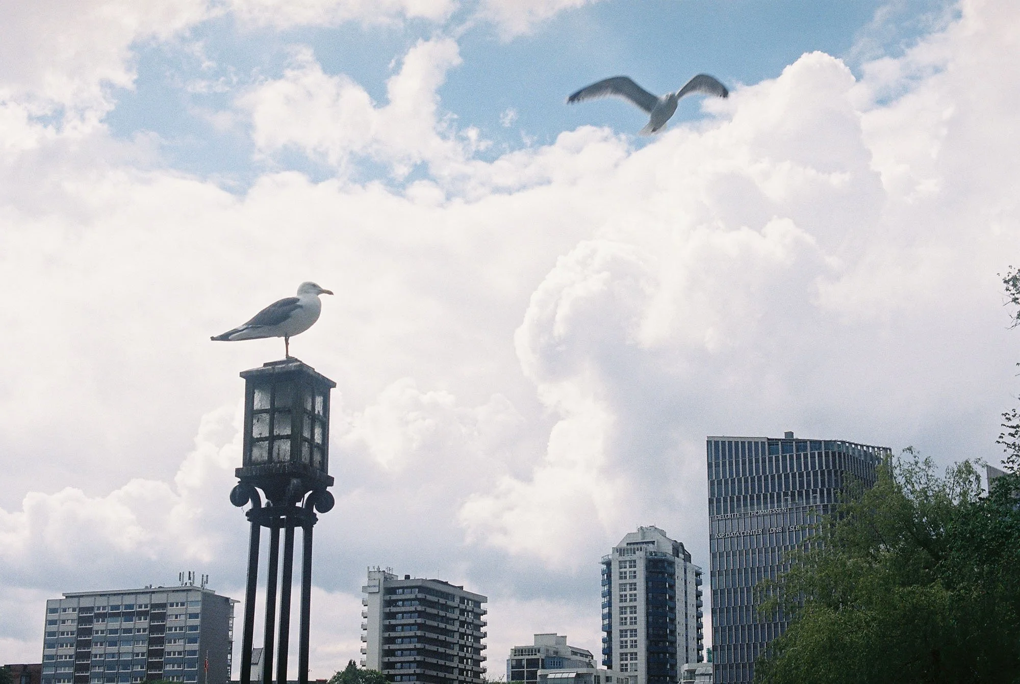 C000144-R1-13-14A.jpg