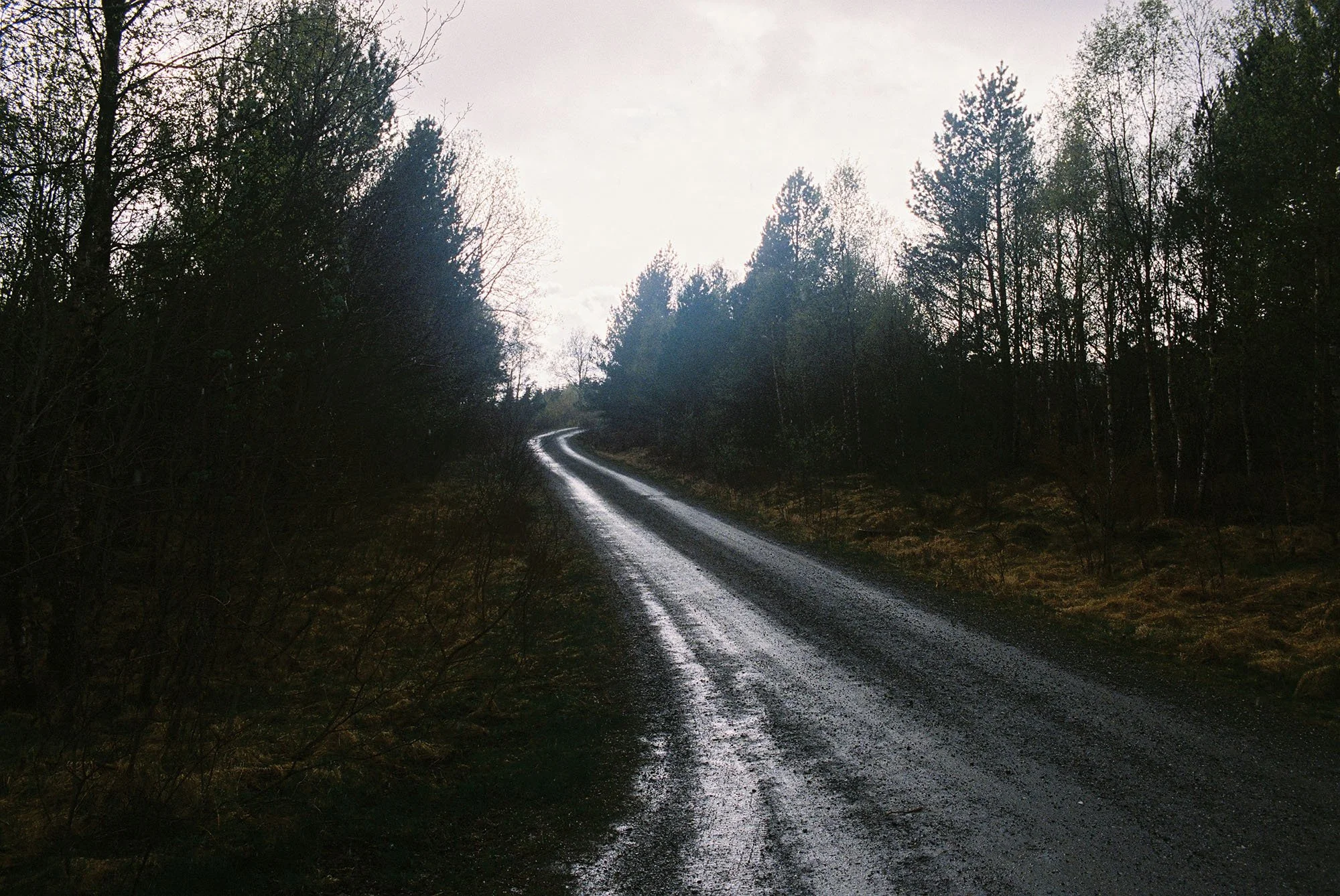 C007703-R1-30-31A.jpg