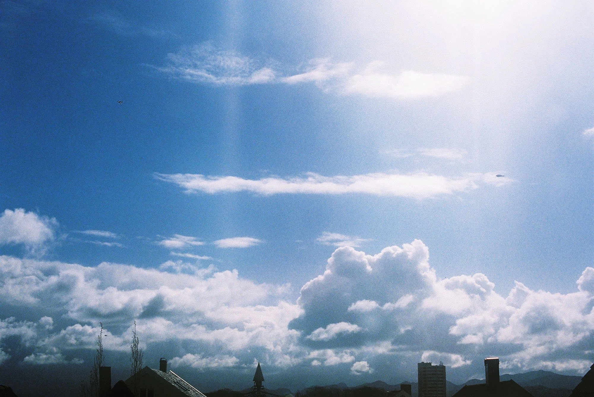 C007703-R1-02-3A-B.jpg