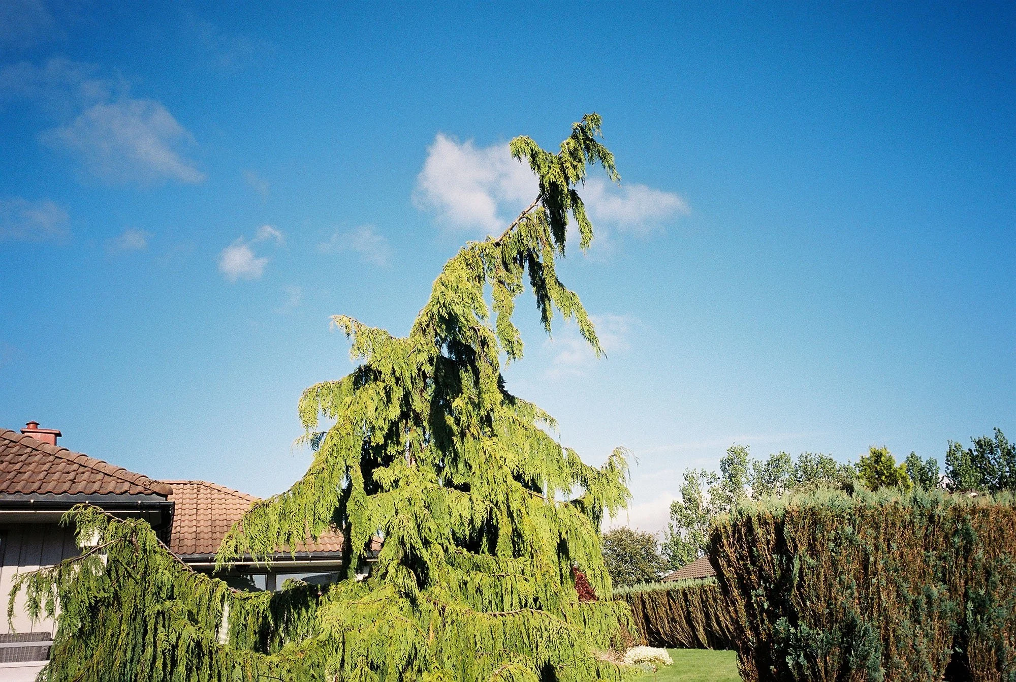 C000149-R1-34-2A.jpg