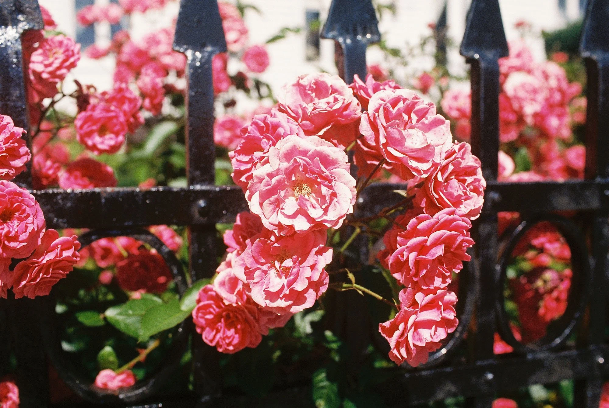 C000148-R1-12-13A.jpg