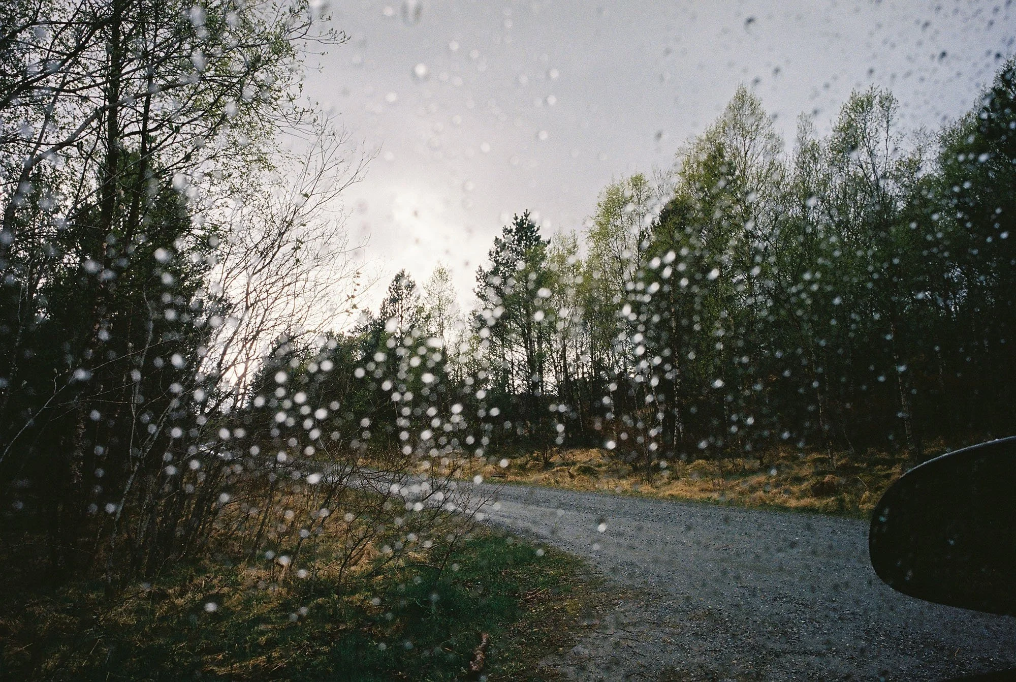 C000146-R1-26-26A.jpg
