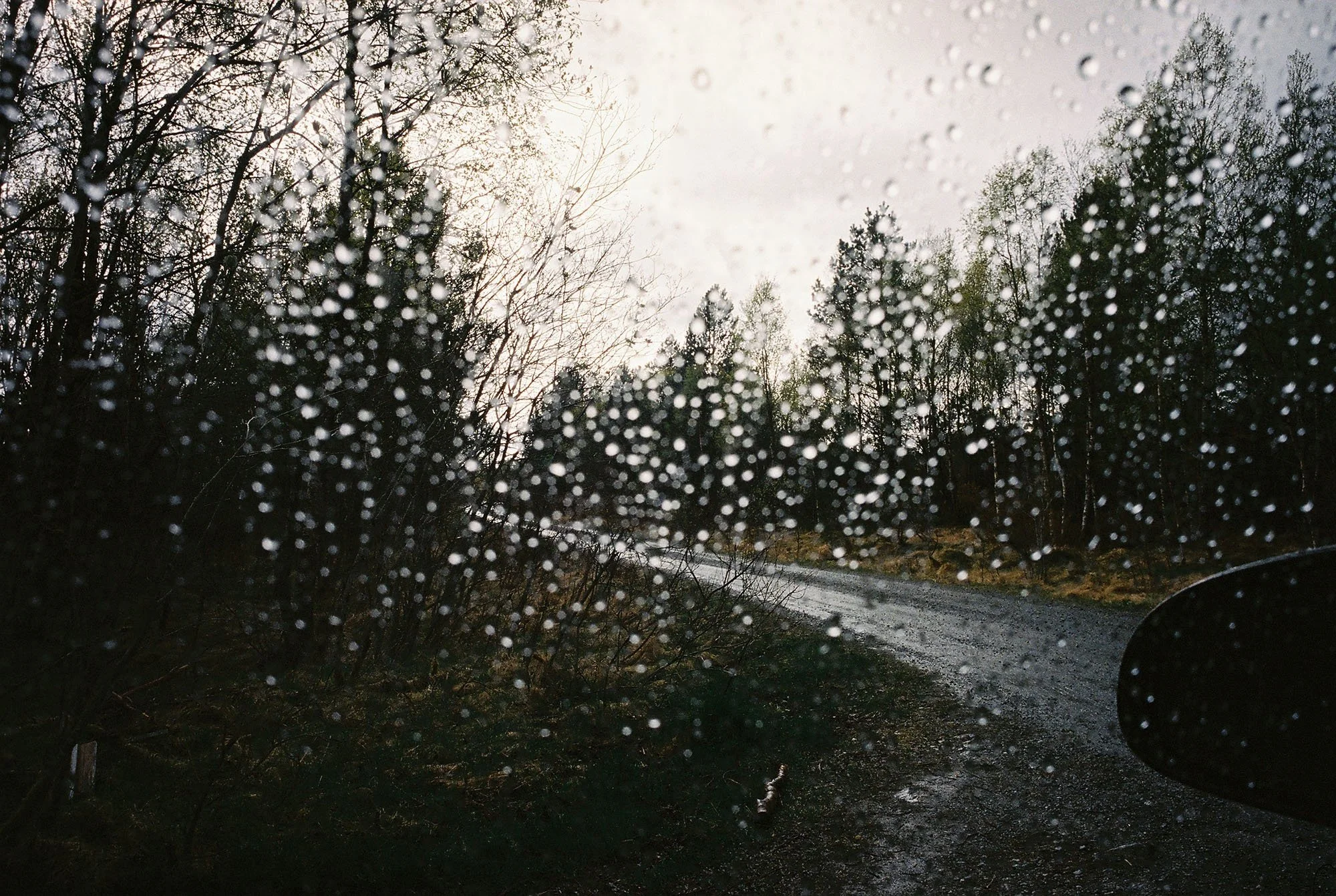 C000146-R1-32-32A.jpg