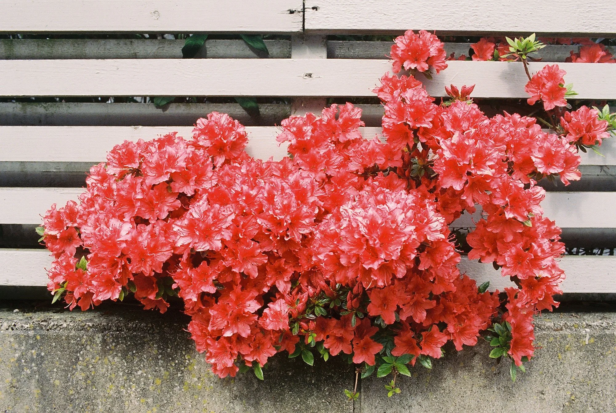 C000143-R1-30-30A.jpg