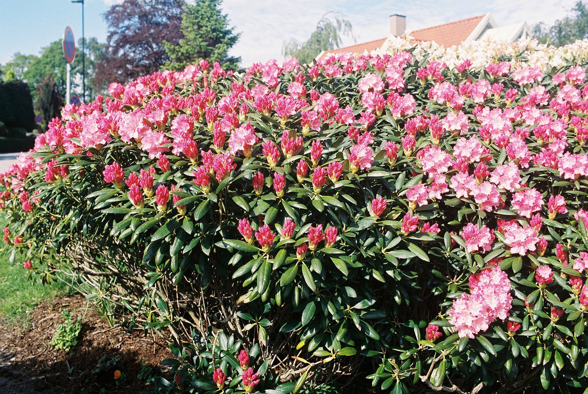 C000143-R1-36-36A.jpg