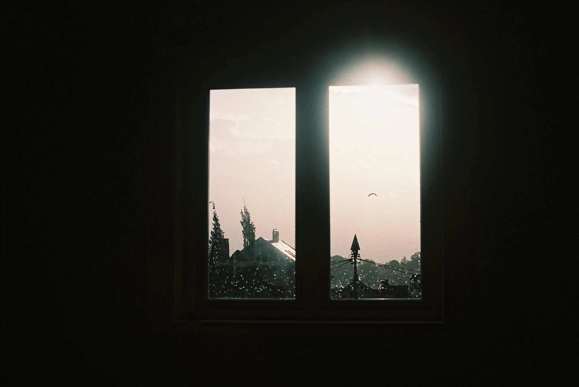 C004569-R1-03-4A.jpg