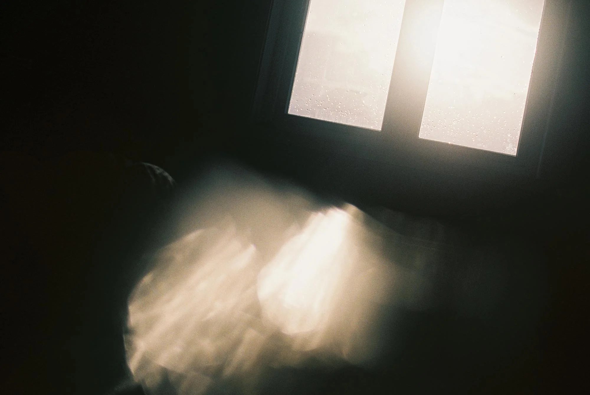 C004566-R1-30-31A.jpg