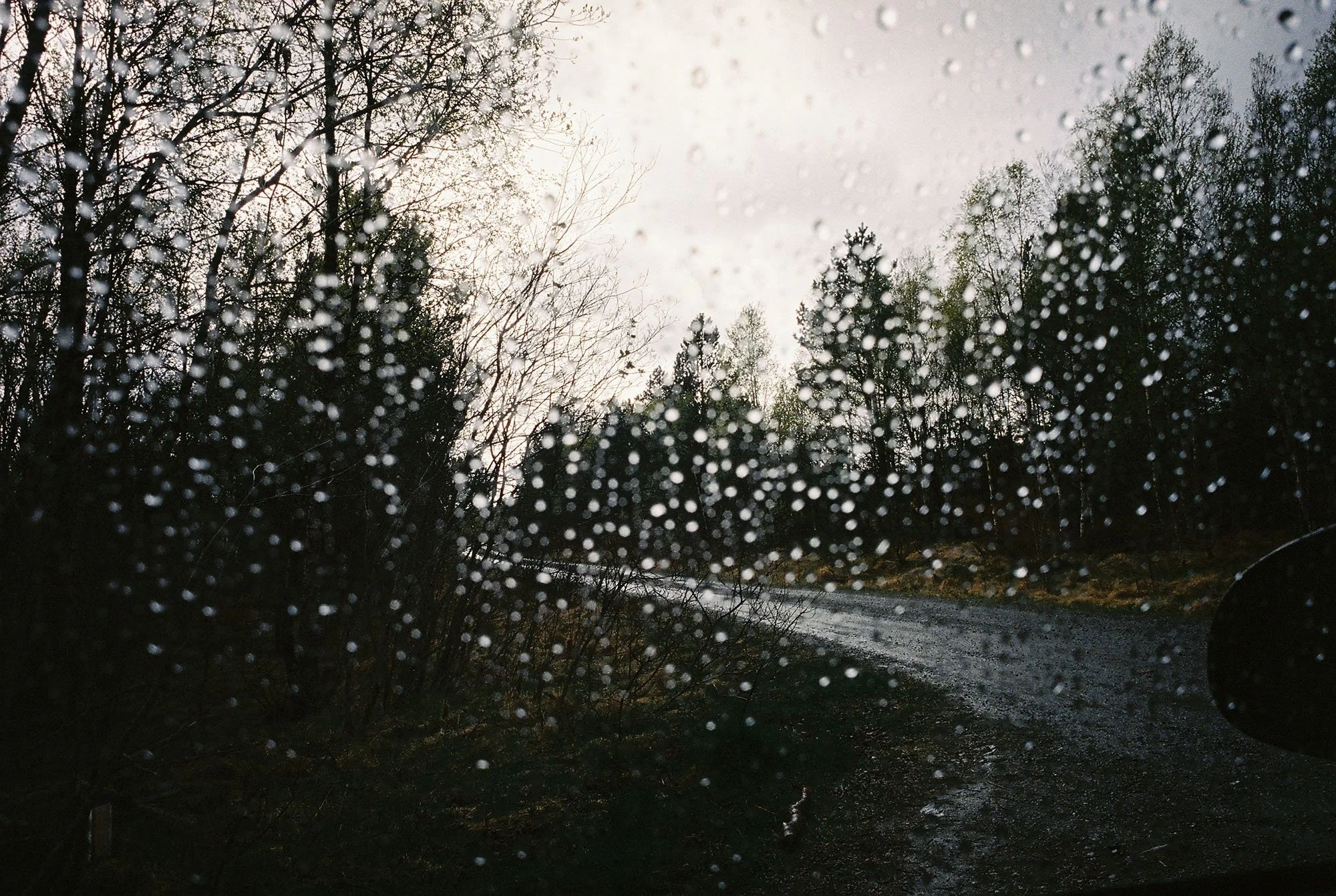C000146-R1-31-31A.jpg