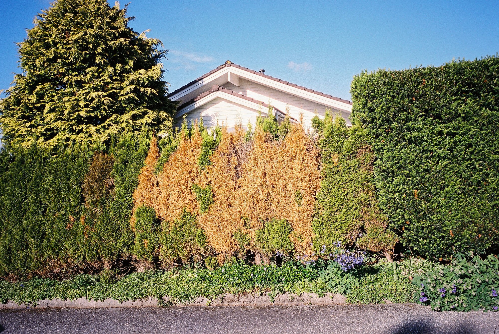C000149-R1-30-6A.jpg