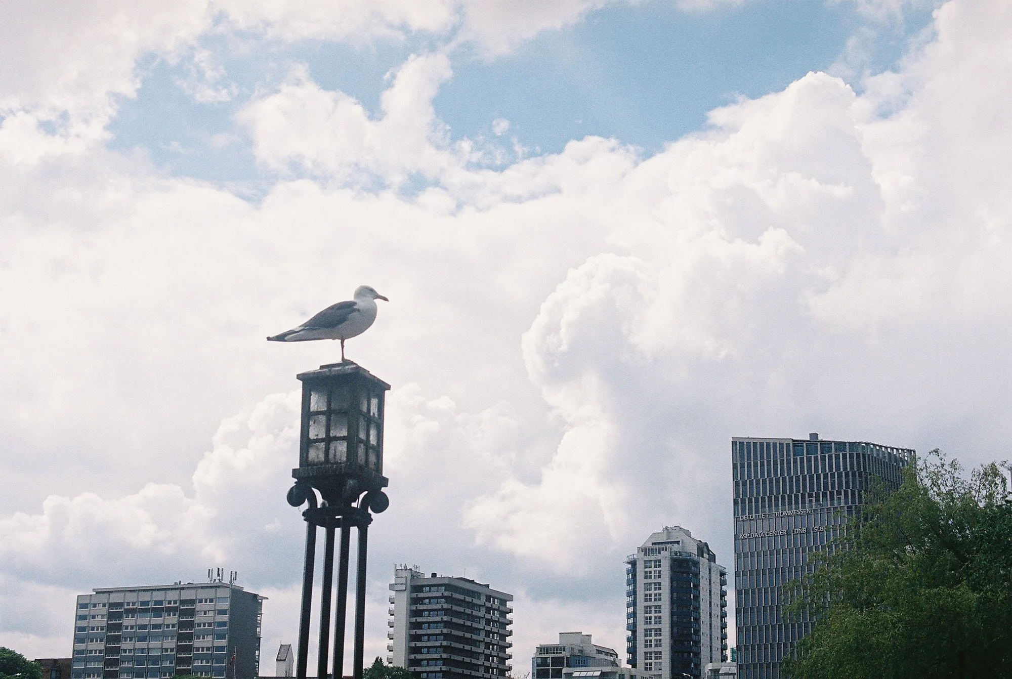C000144-R1-12-13A.jpg