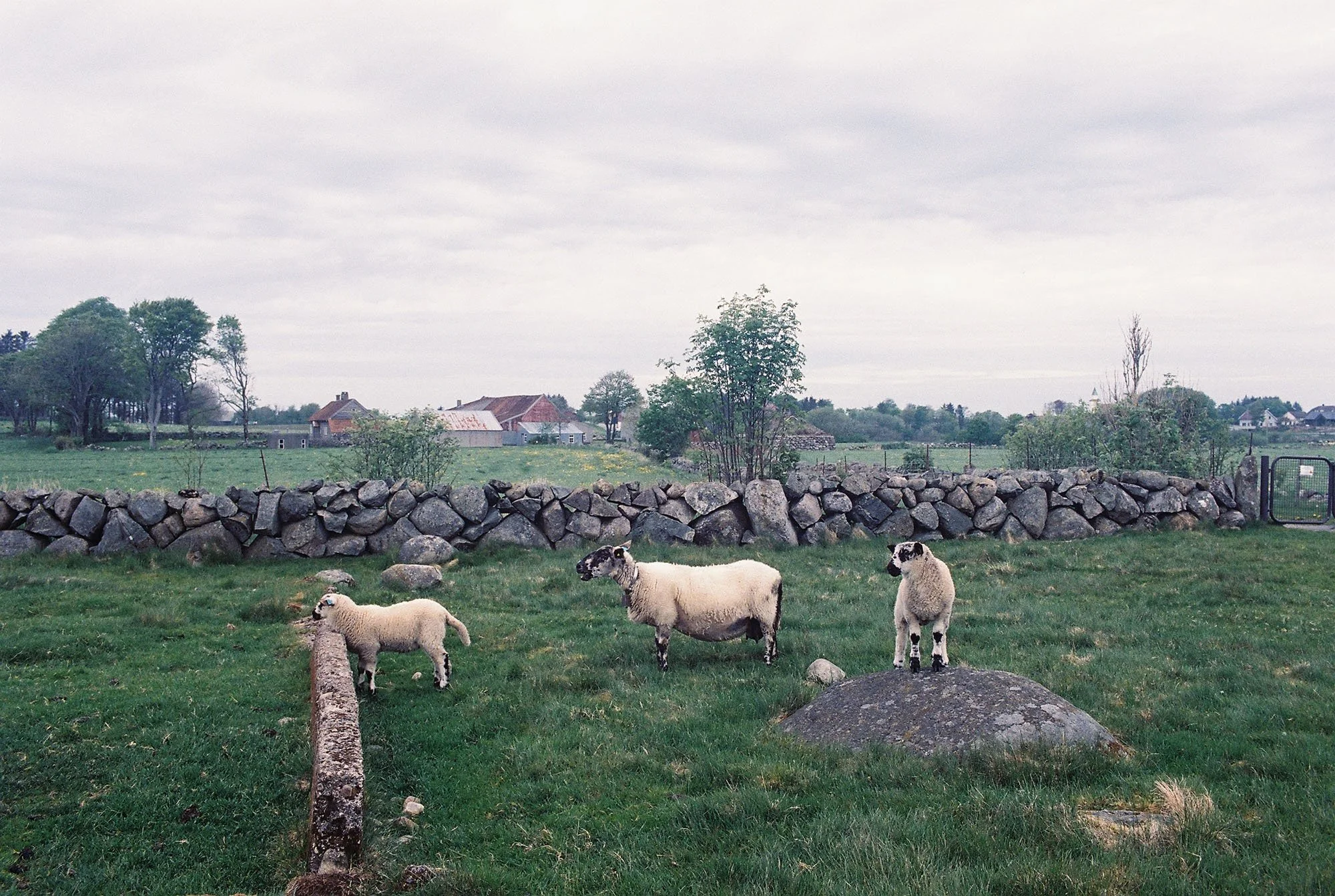 C000141-R1-23-24A.jpg