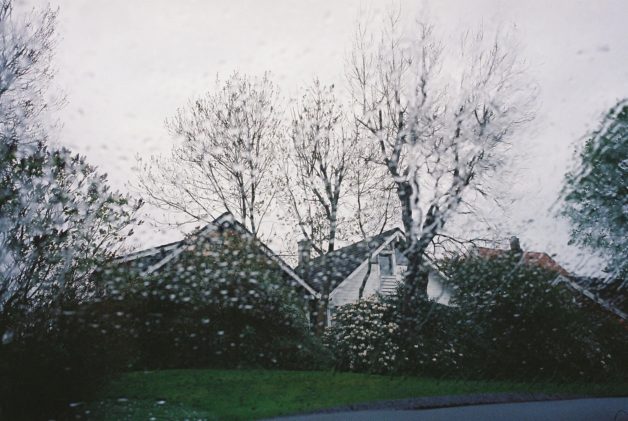 C000146-R1-12-12A.jpg