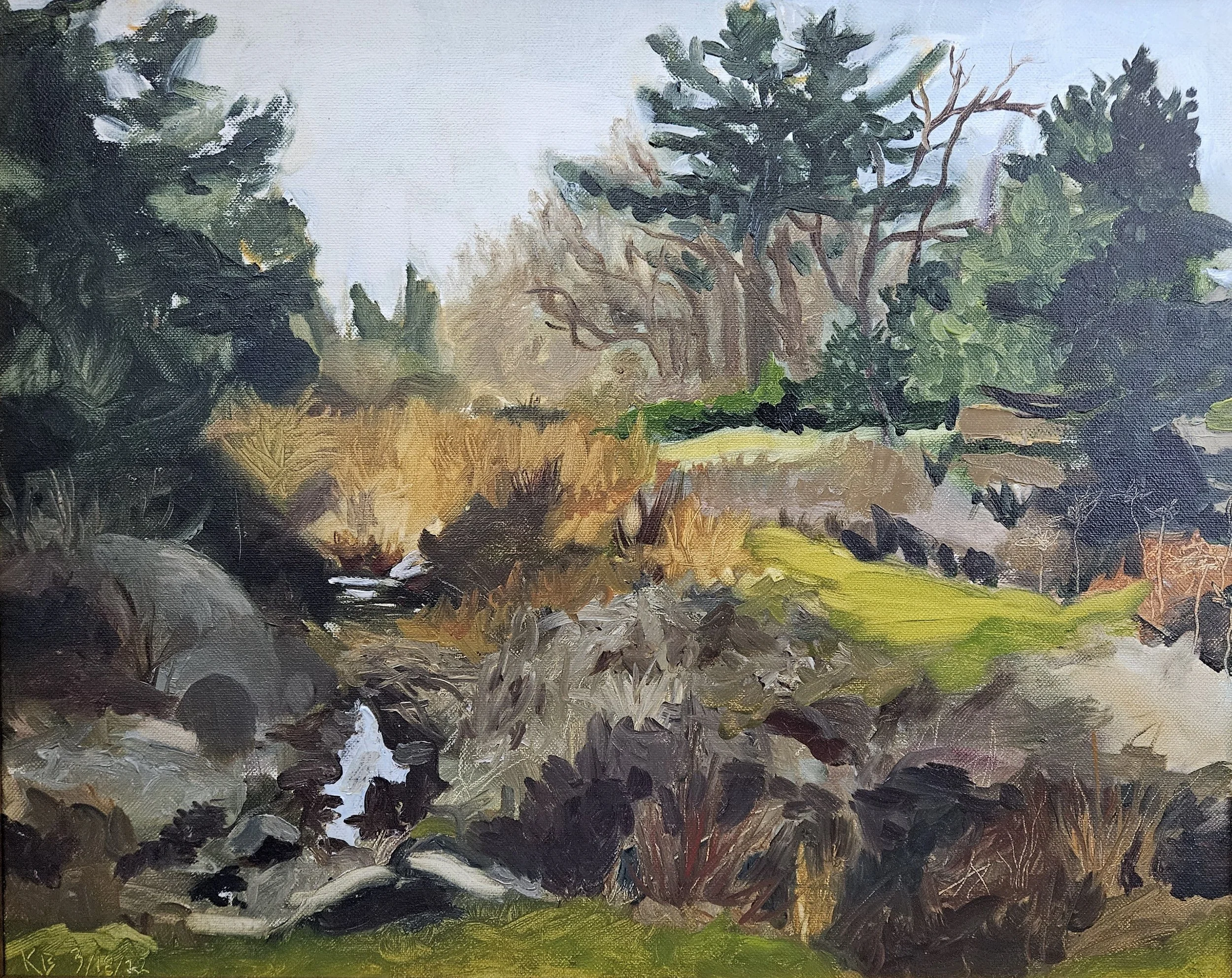 Arboretum Early Winter