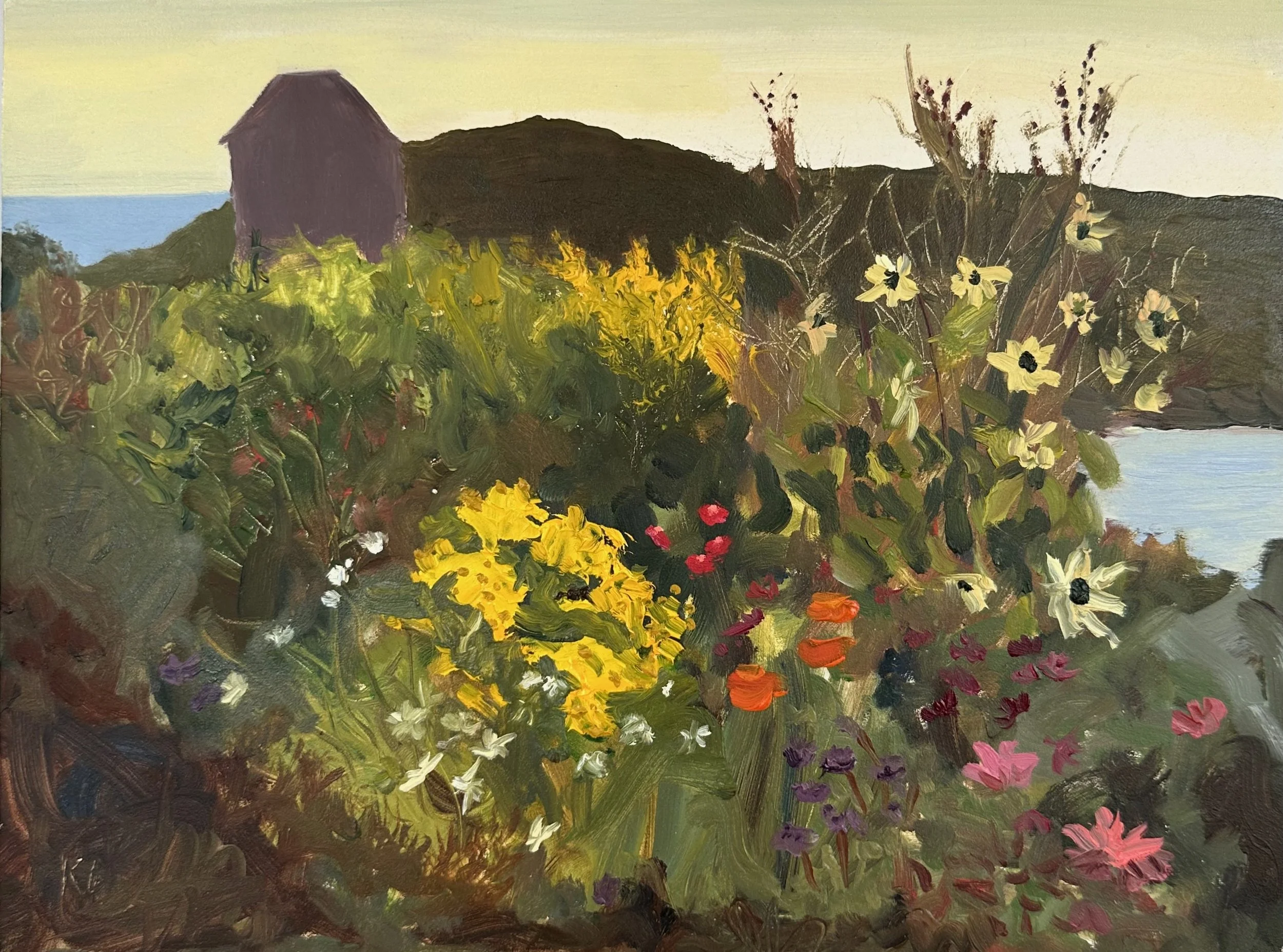 Wildflowers at Dusk