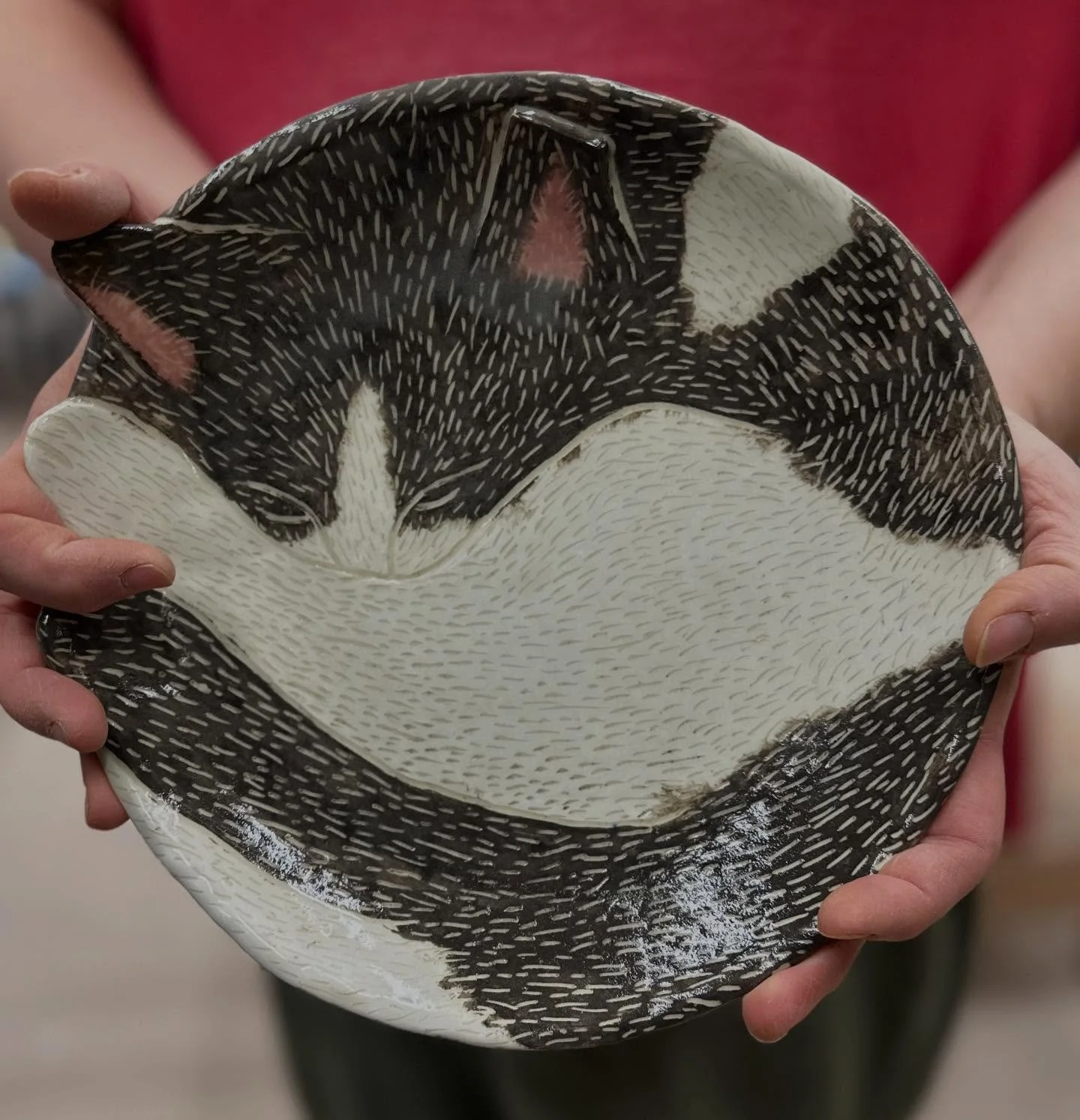 Fantastic cat plate just came out of the kilns @theclayschool 😍😍😍😍