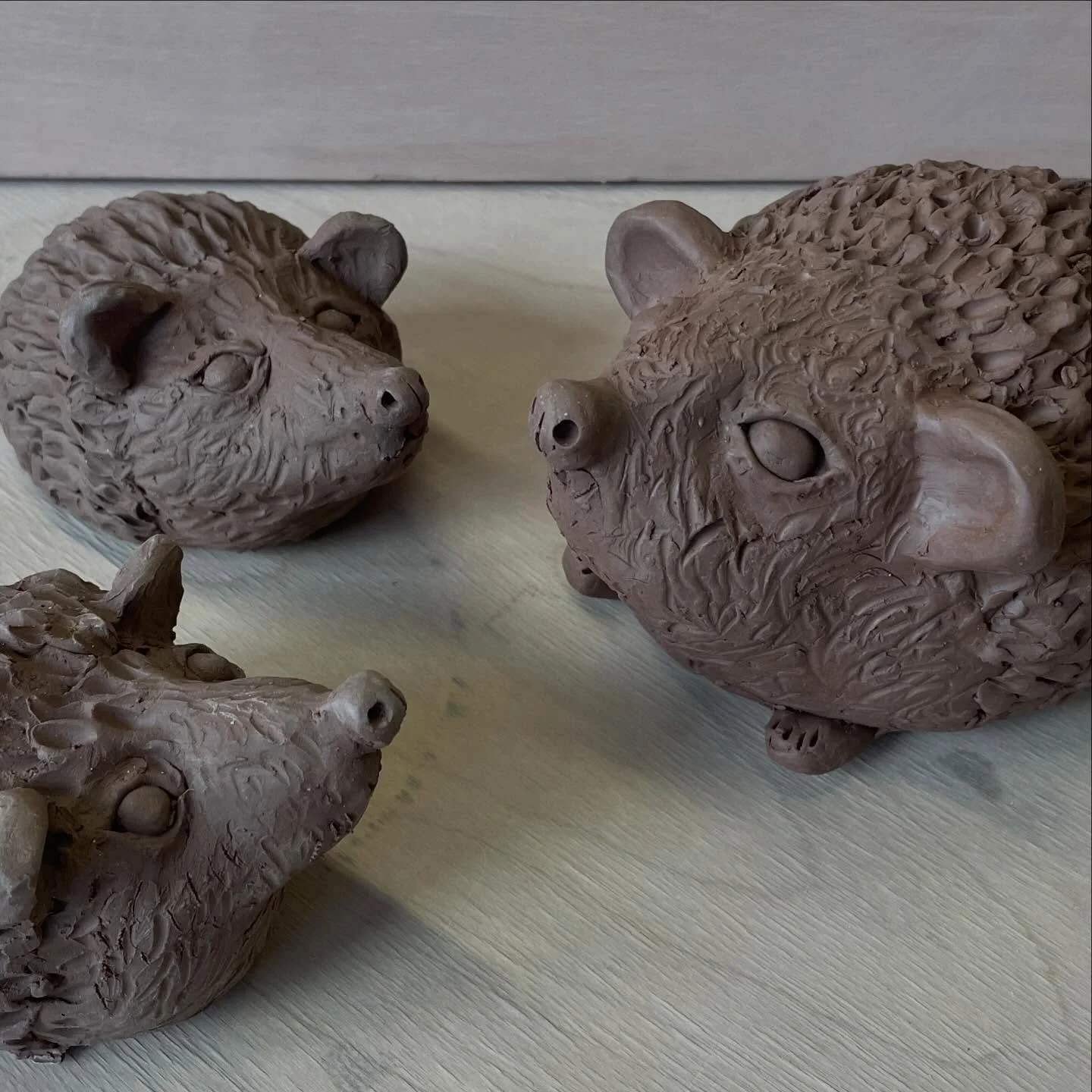 Oh the little hedgehogs 🦔😍 by Tam @tamarisec in the Friday AM class @theclayschool