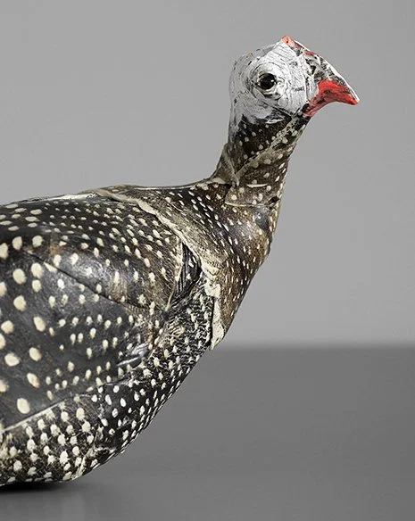 detail of resting guinea hen.jpeg