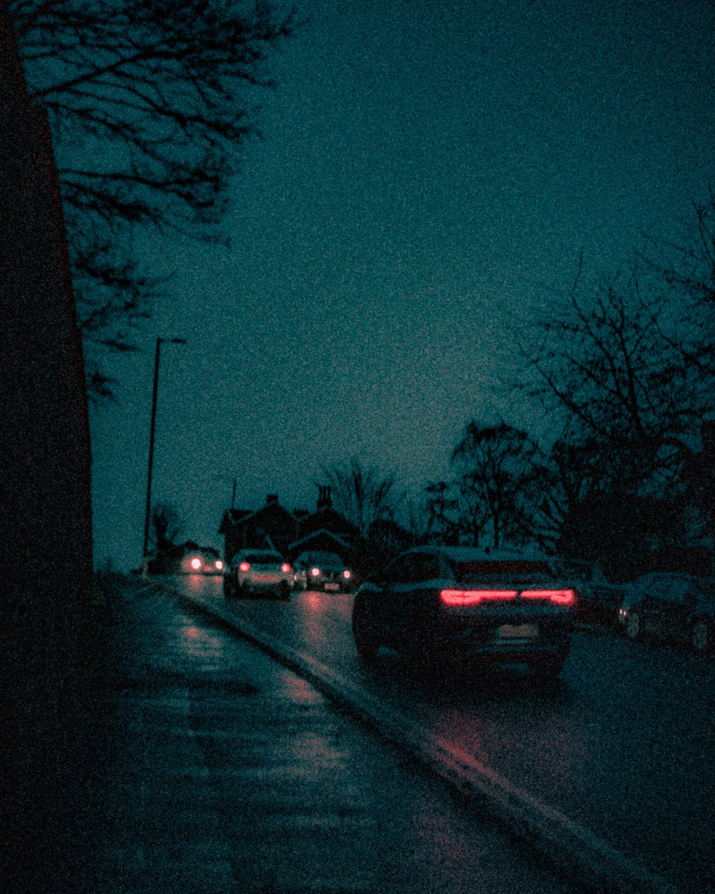 DSC07216 smaller.jpg