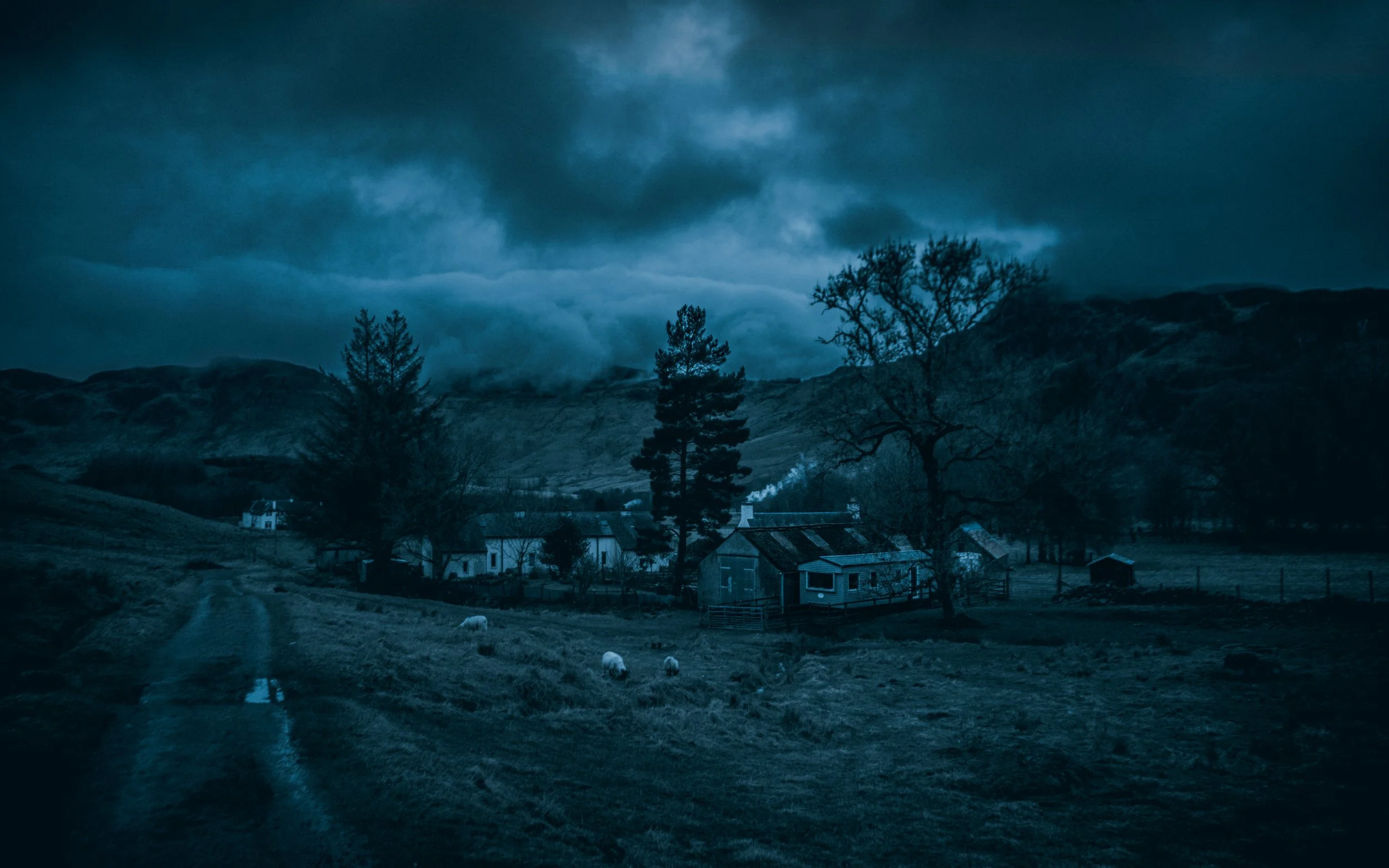 DSC07765 smaller.jpg