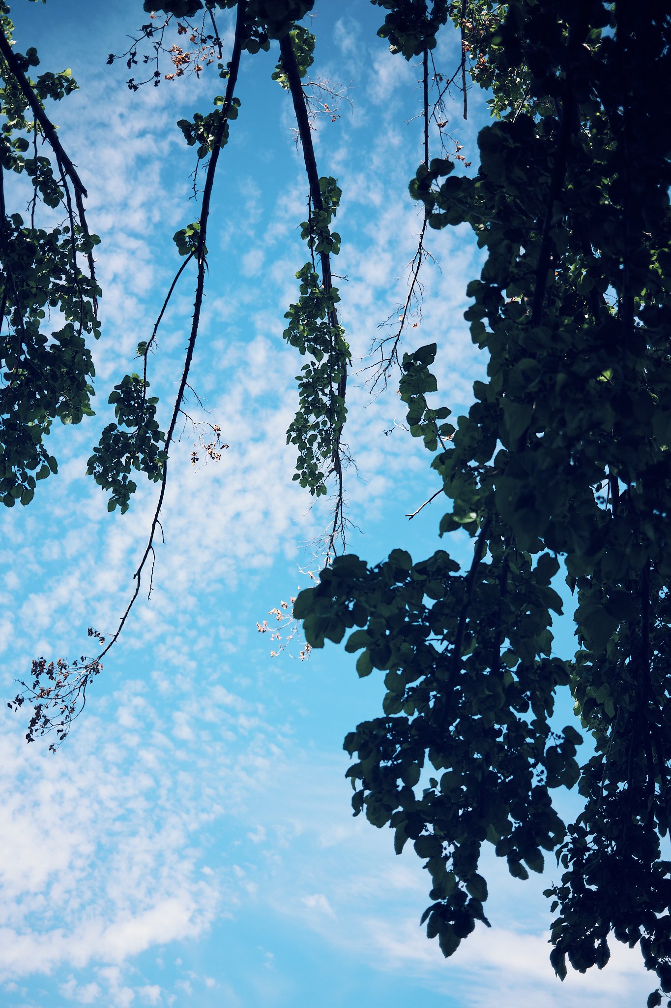 DSCF3554.jpg