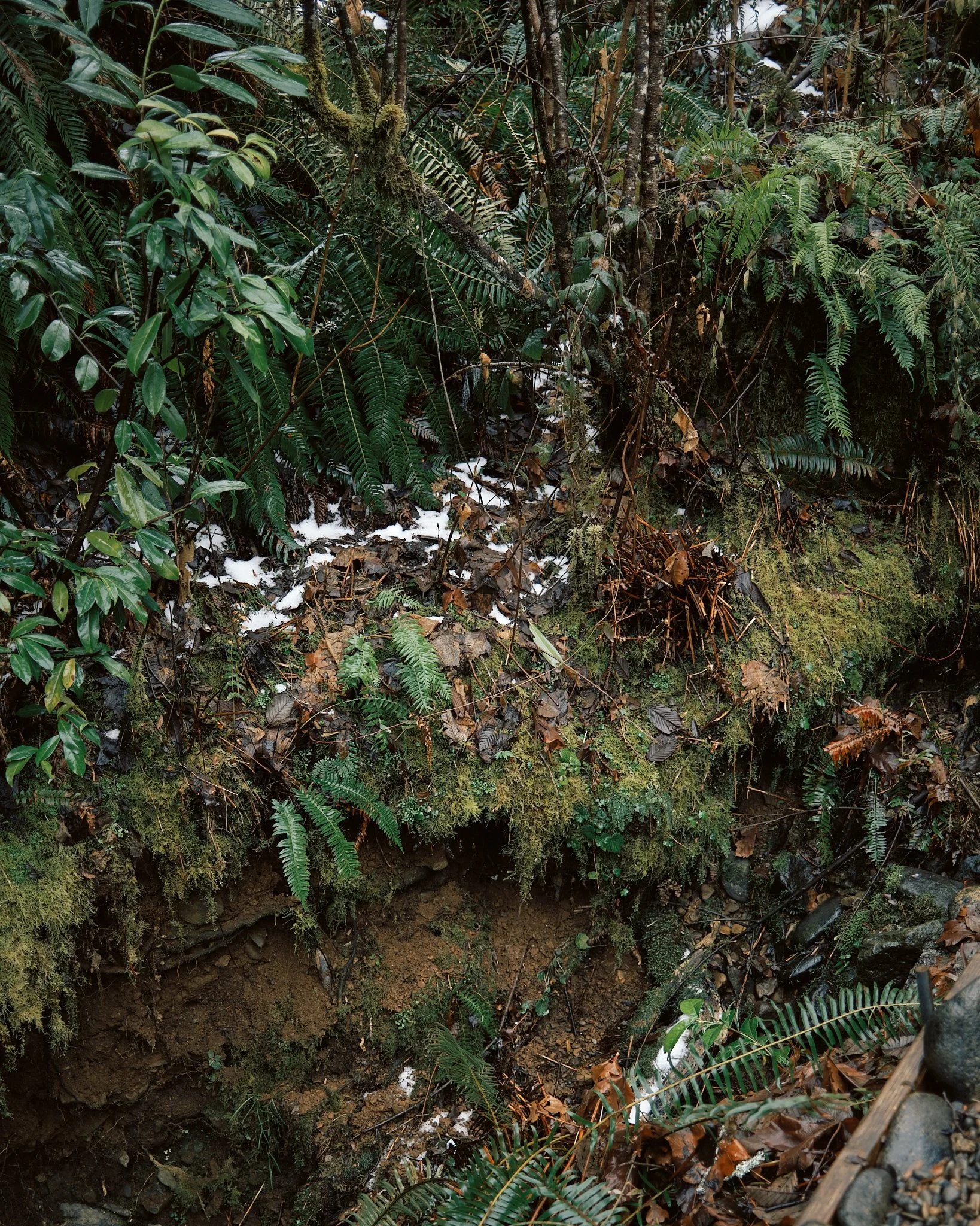 DSCF3051.jpg