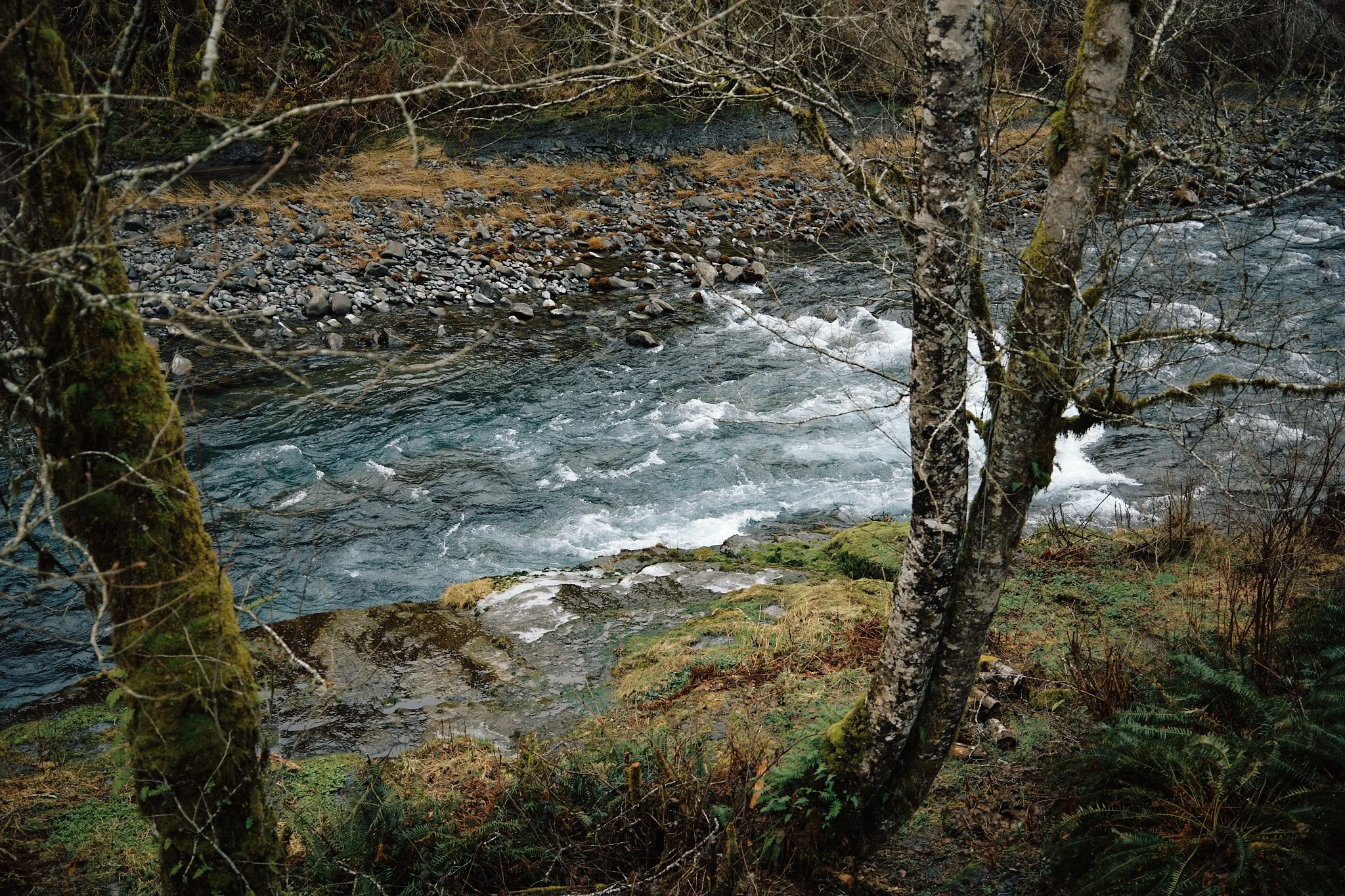 DSCF3062.jpg