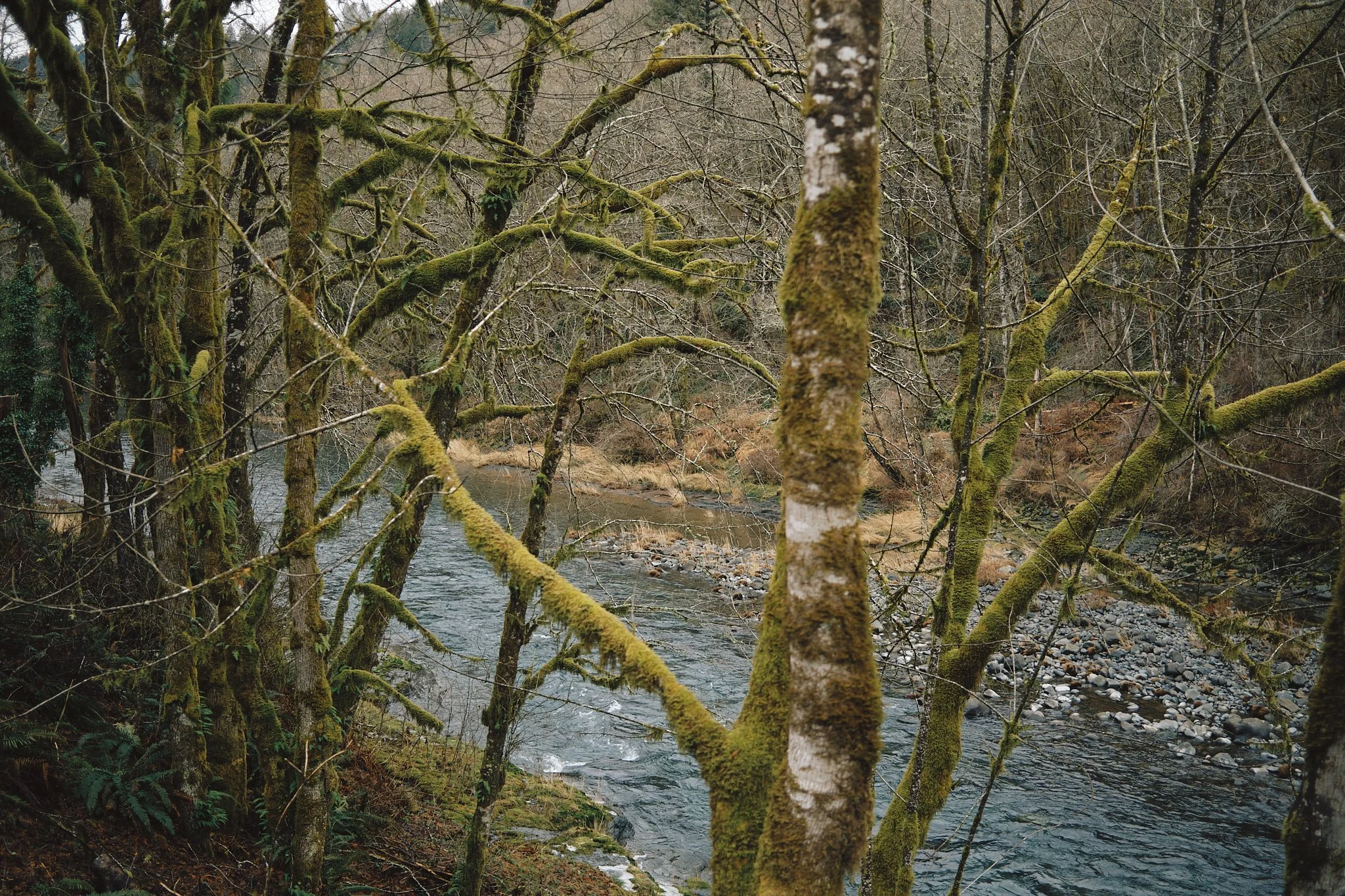 DSCF3069.jpg