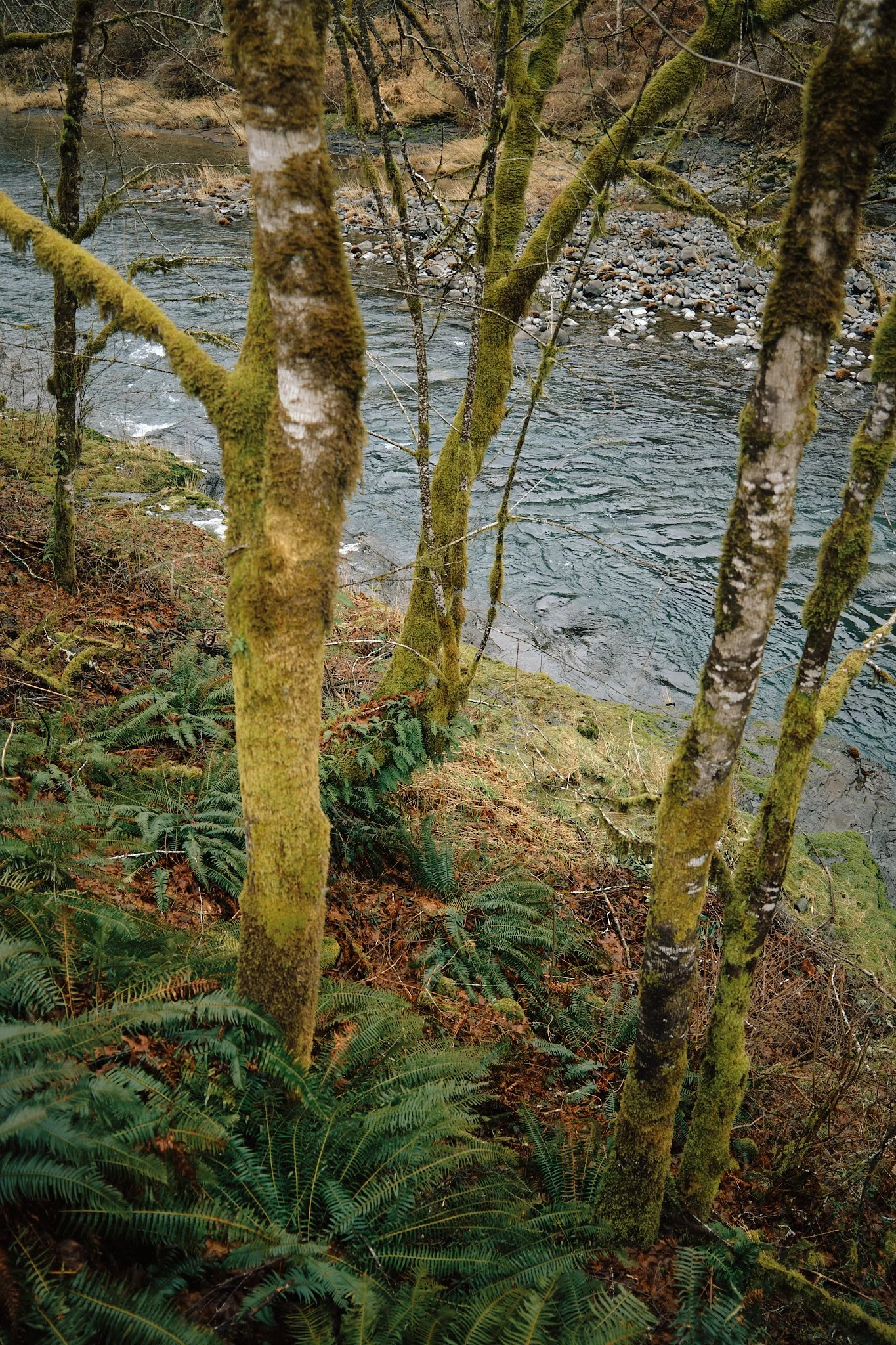 DSCF3079.jpg