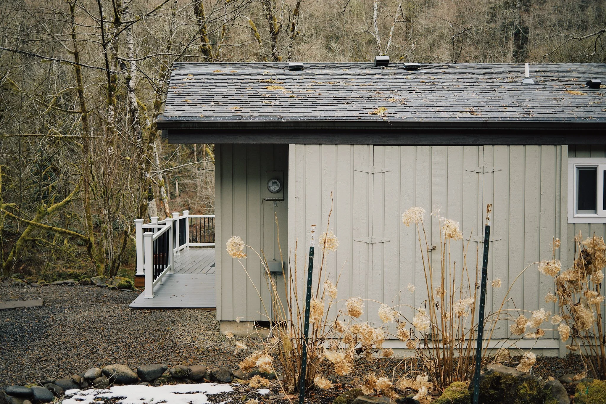 DSCF3095 1.jpg