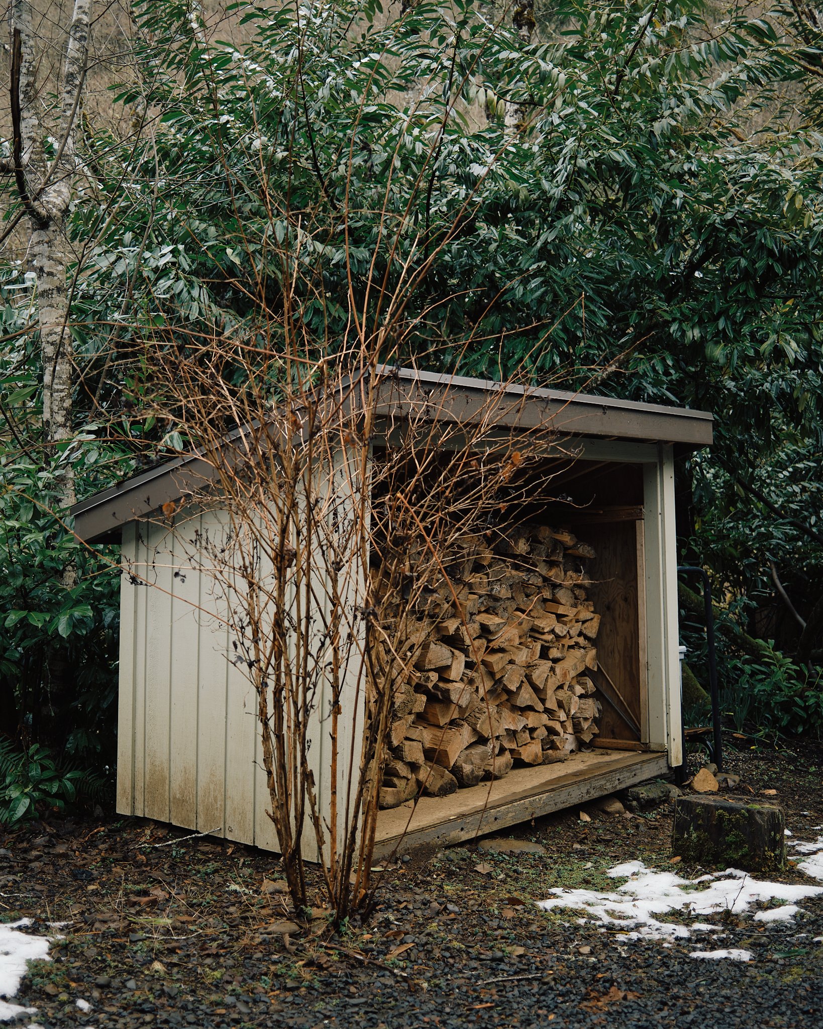 DSCF3106.jpg