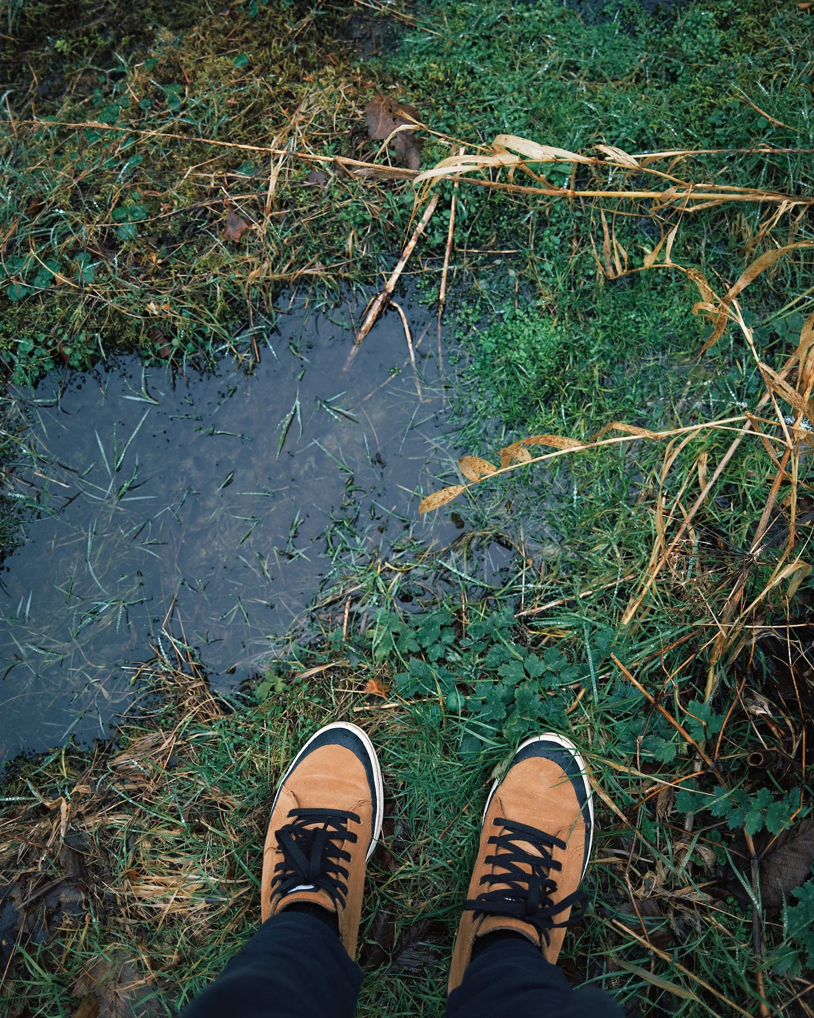 DSCF3209.jpg