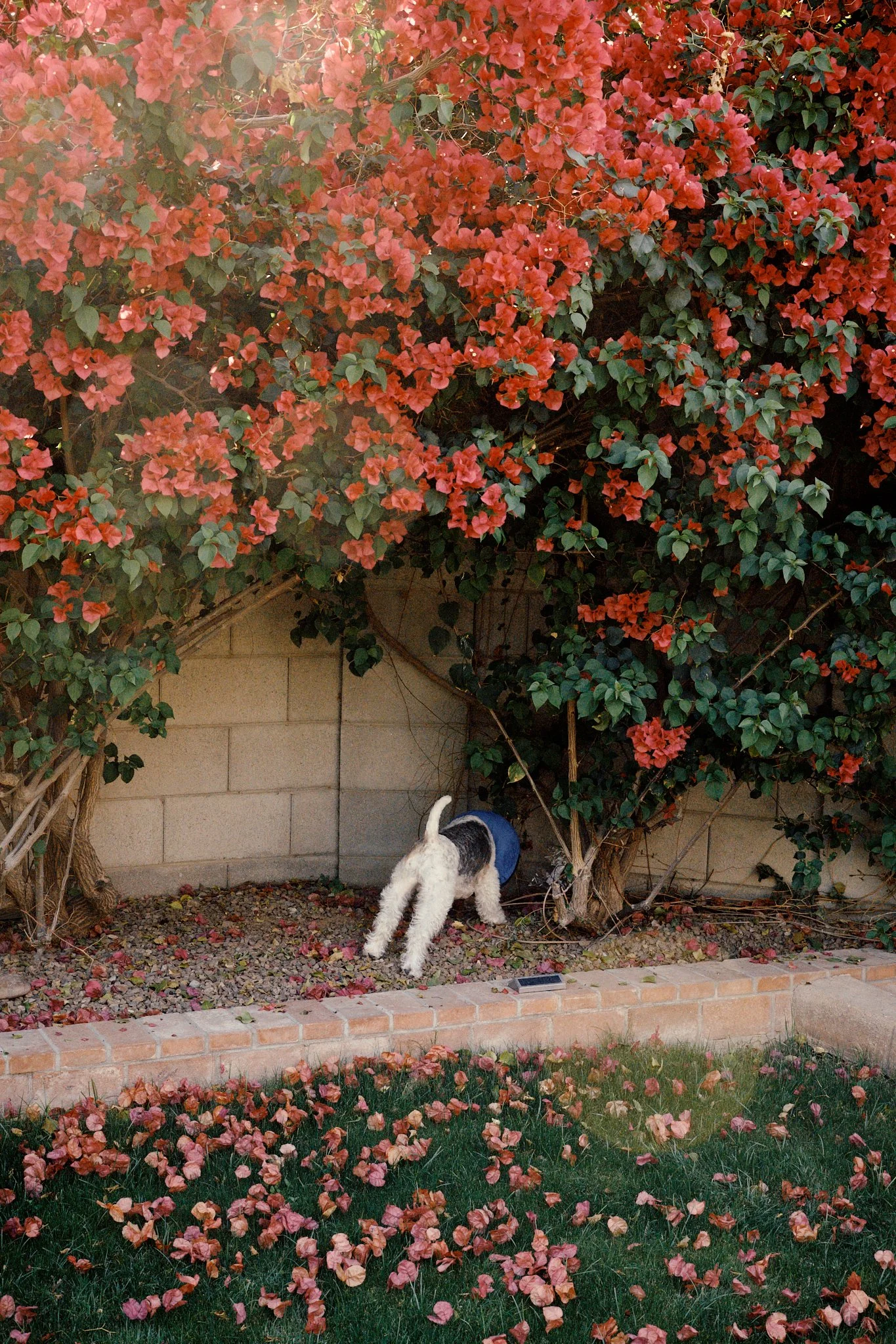 DSCF3746.jpg