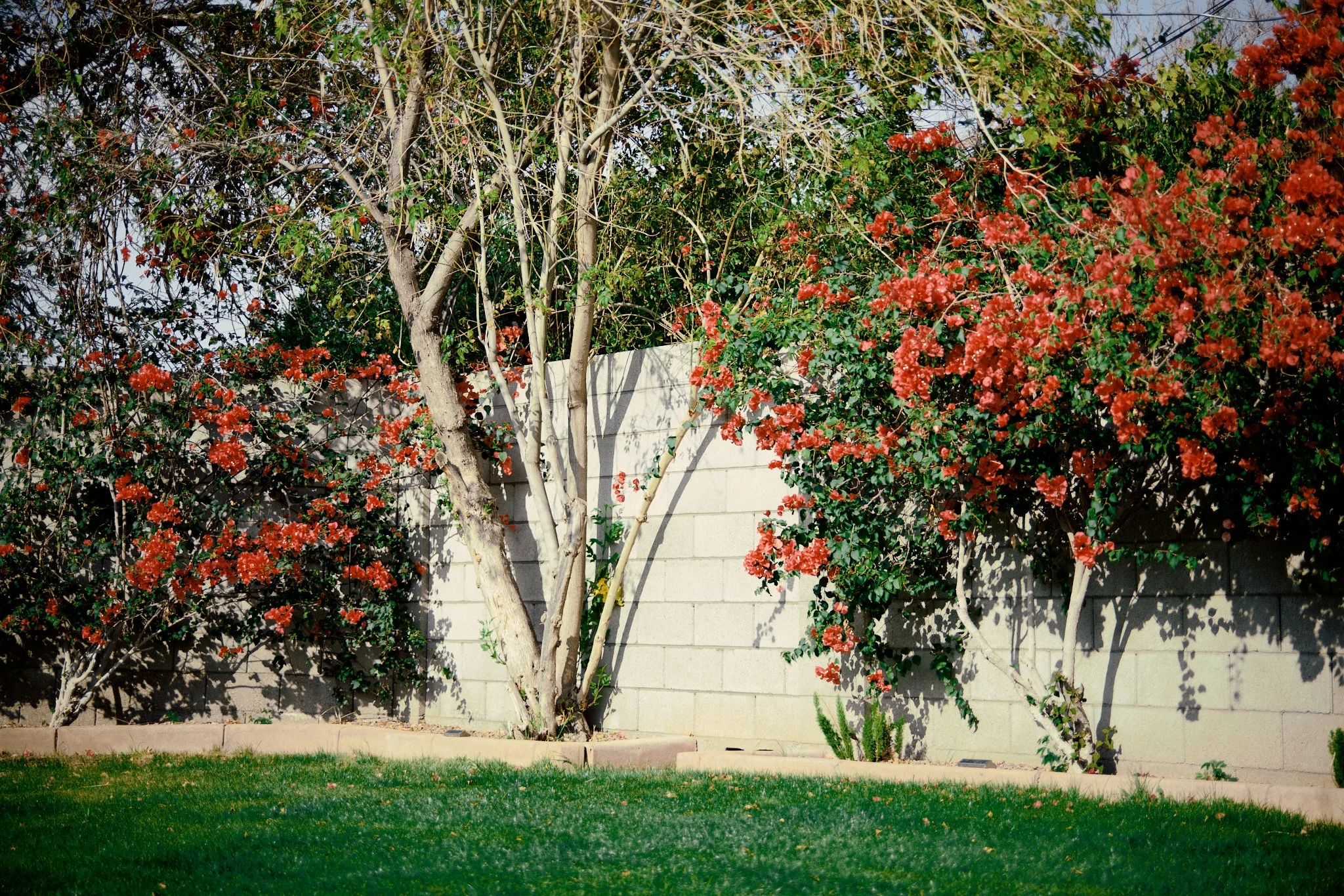 DSCF3699.jpg