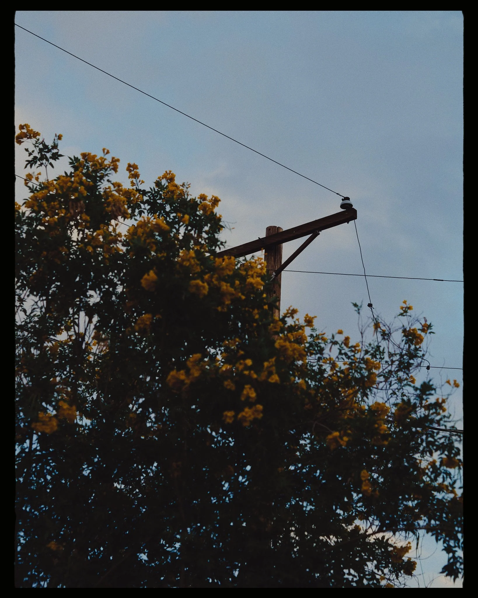 _0Z85593.jpg