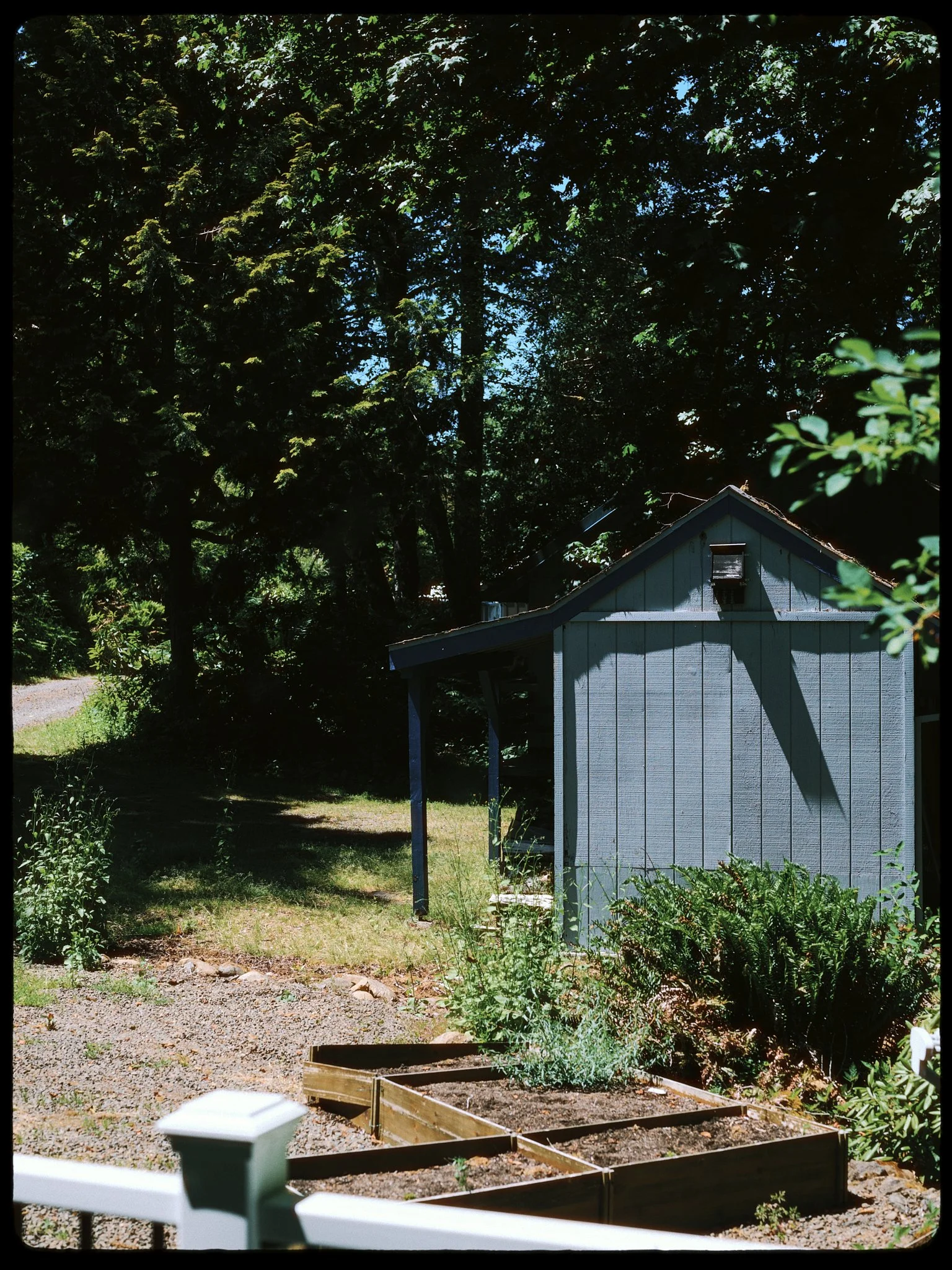 _0Z86005 1.jpg